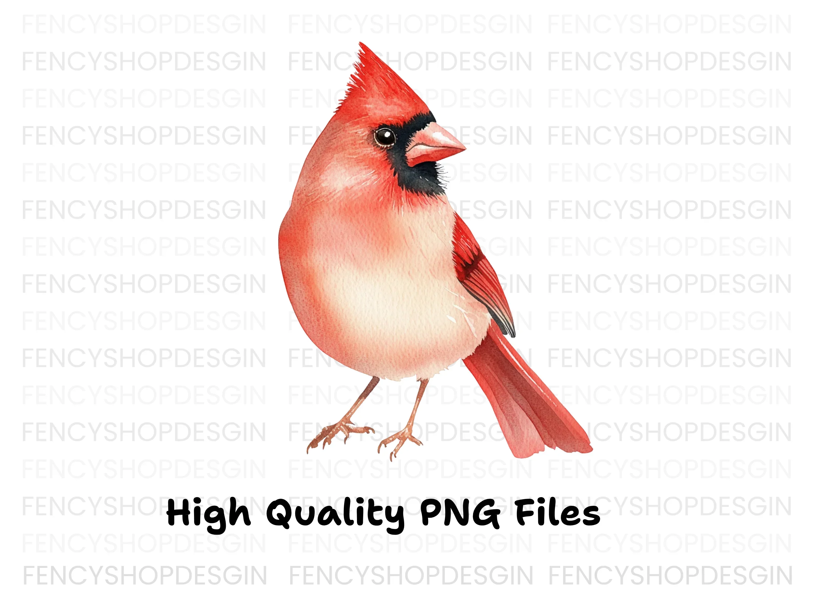Cardinal Bird Clipart Bundle - Image 3