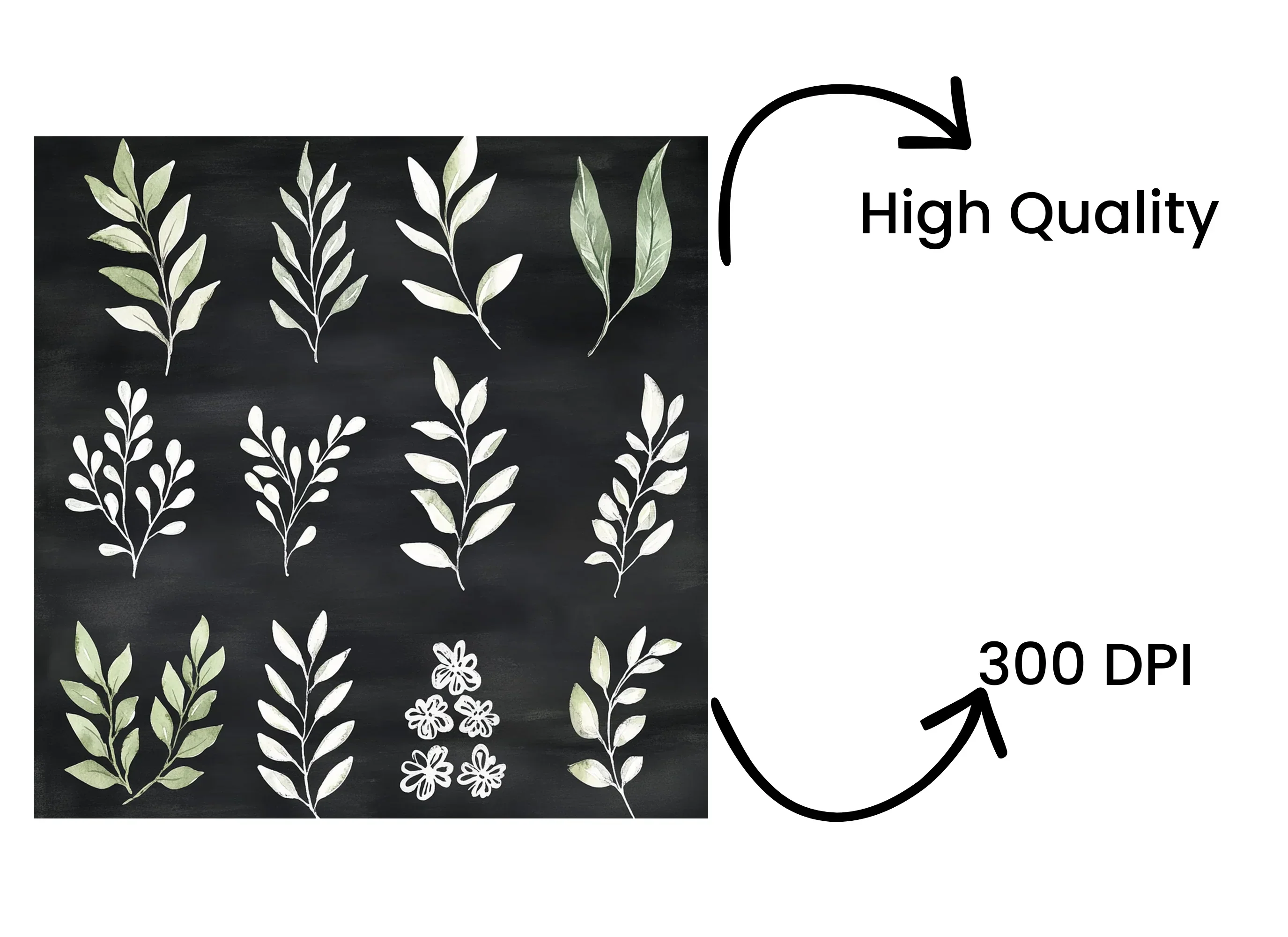 Chalkboard Floral Foliage Clipart Bundle - Image 4
