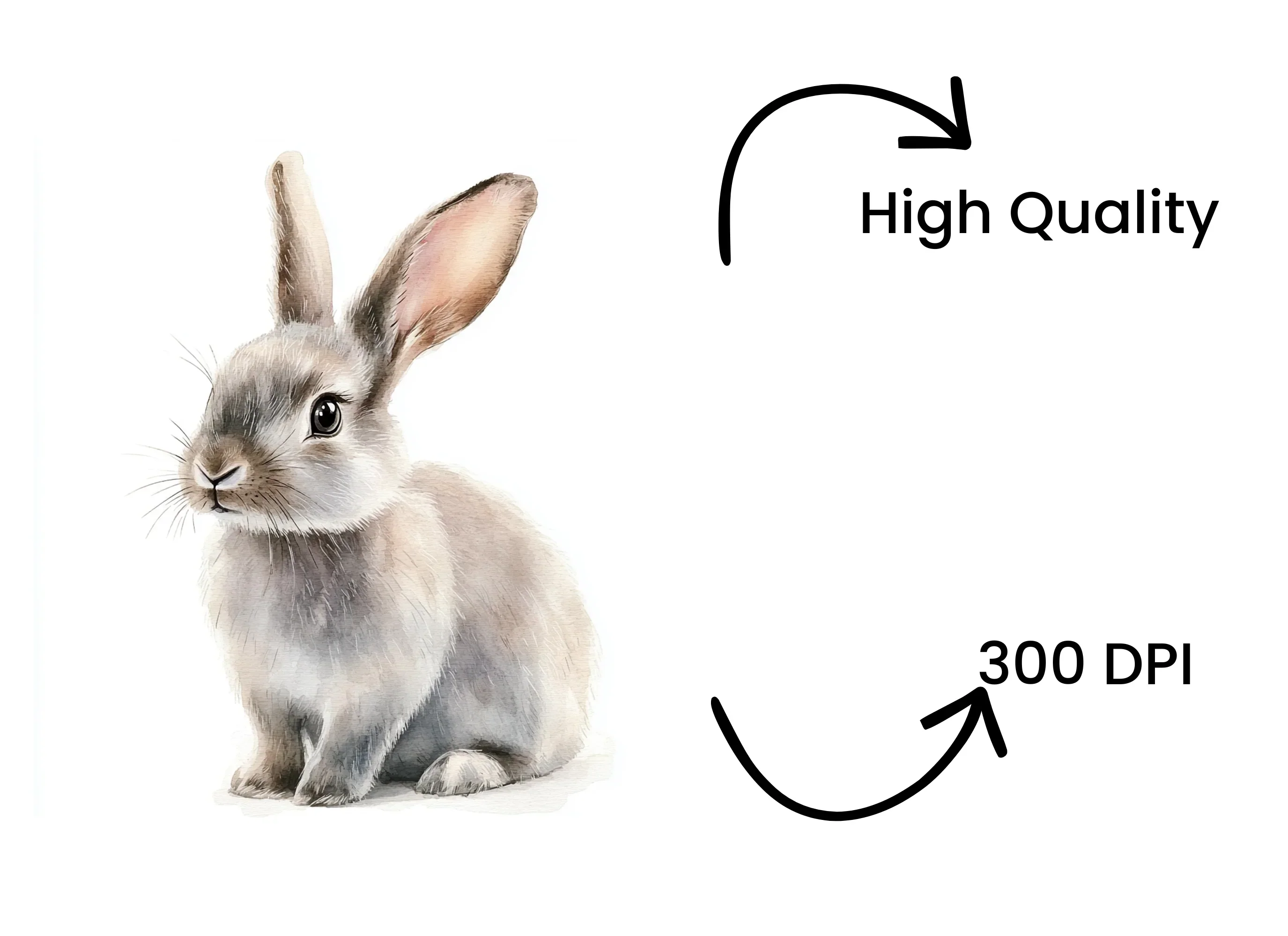 Charming Baby Bunny Clipart Bundle - Image 4