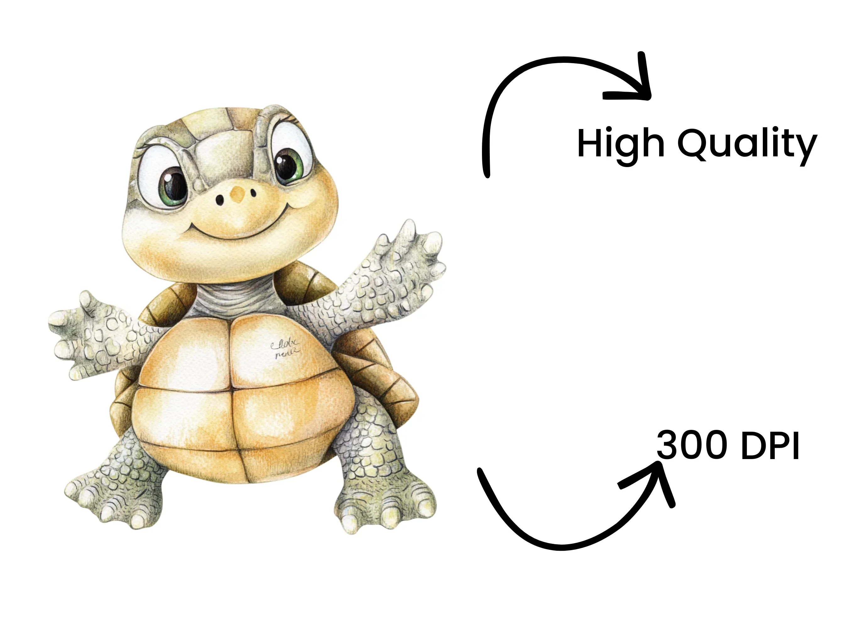 Charming Baby Turtle Clipart Bundle - Image 4