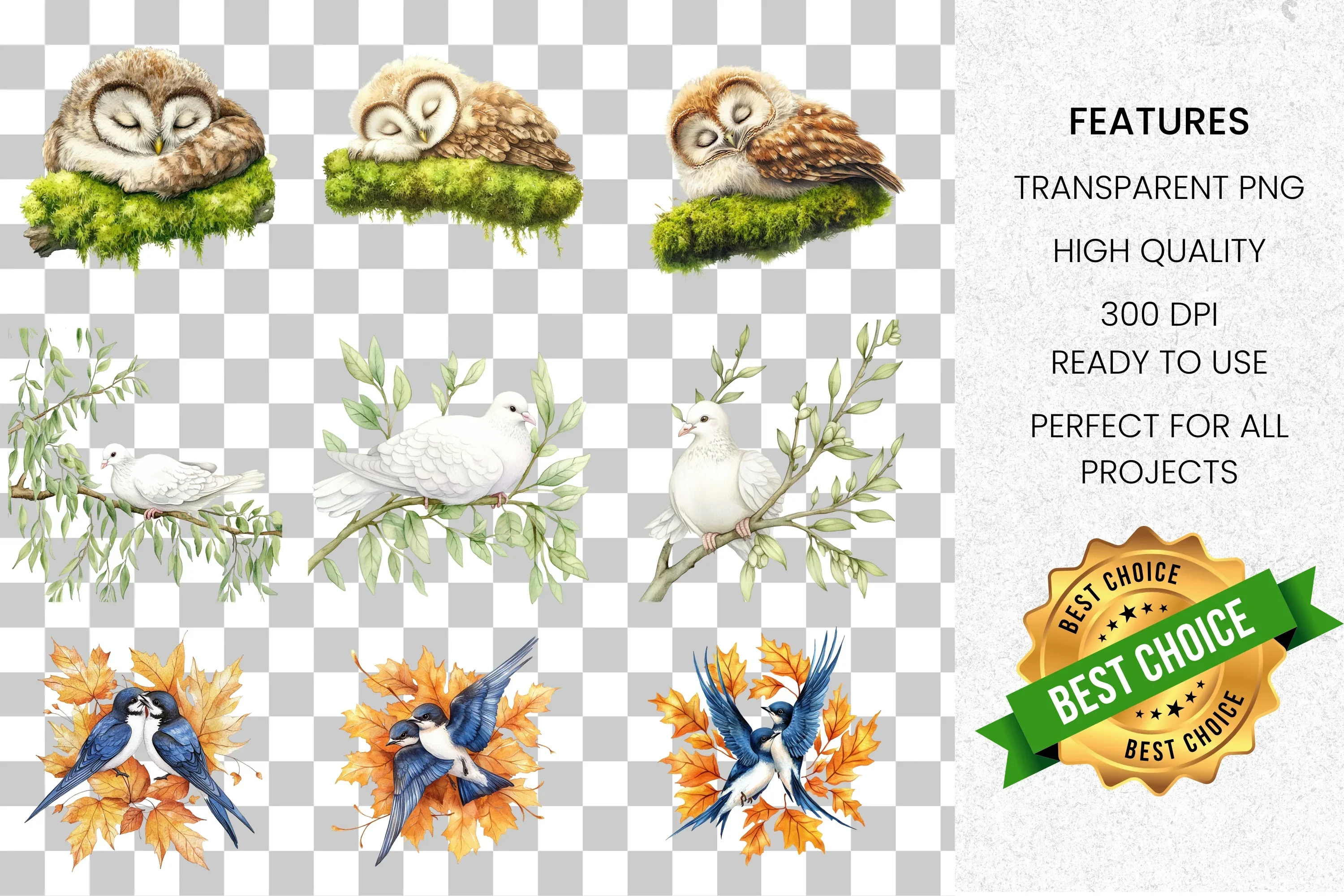 Charming Bird Clipart Bundle for Crafts - Image 8