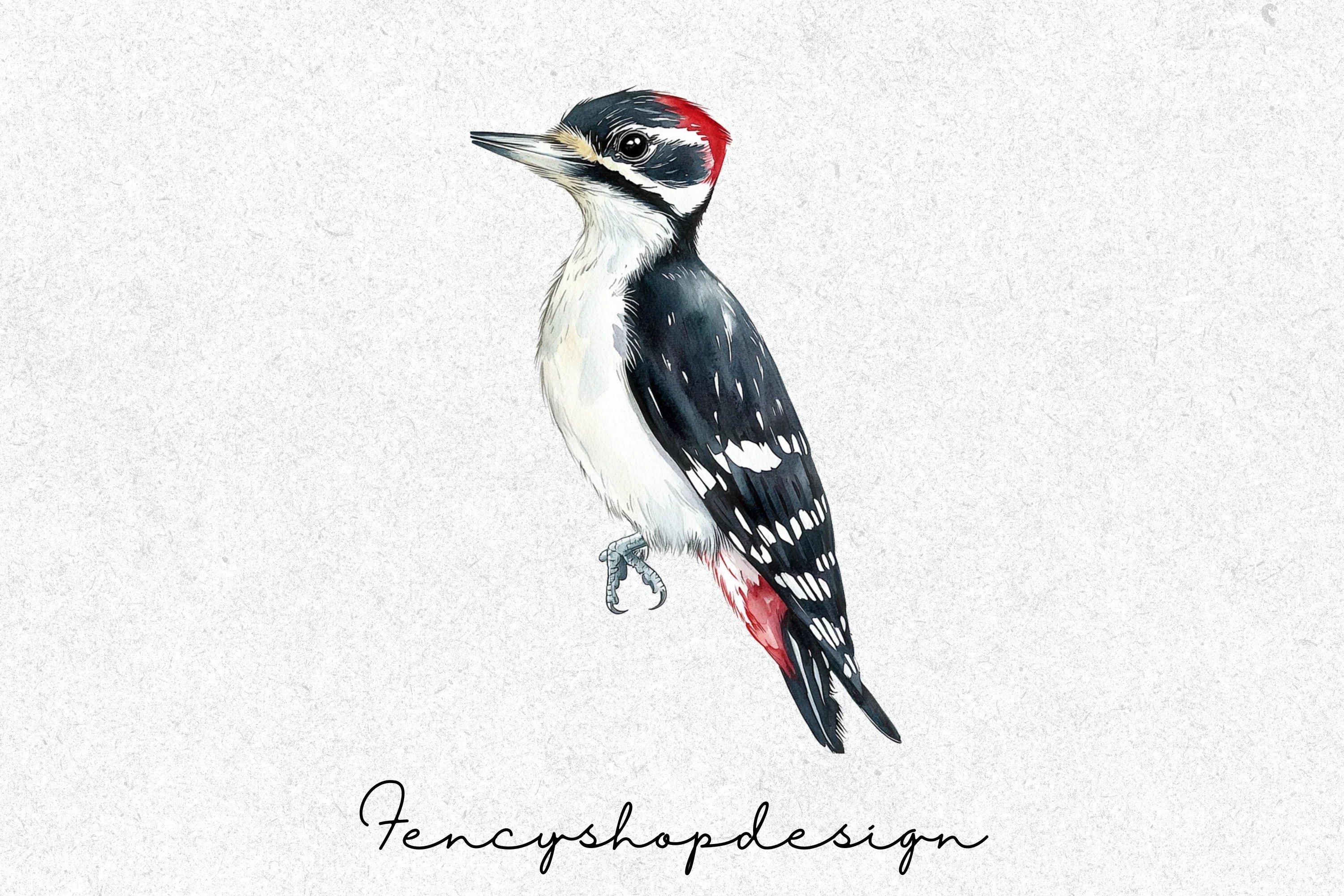 Charming Birds Clipart Bundle - Image 6