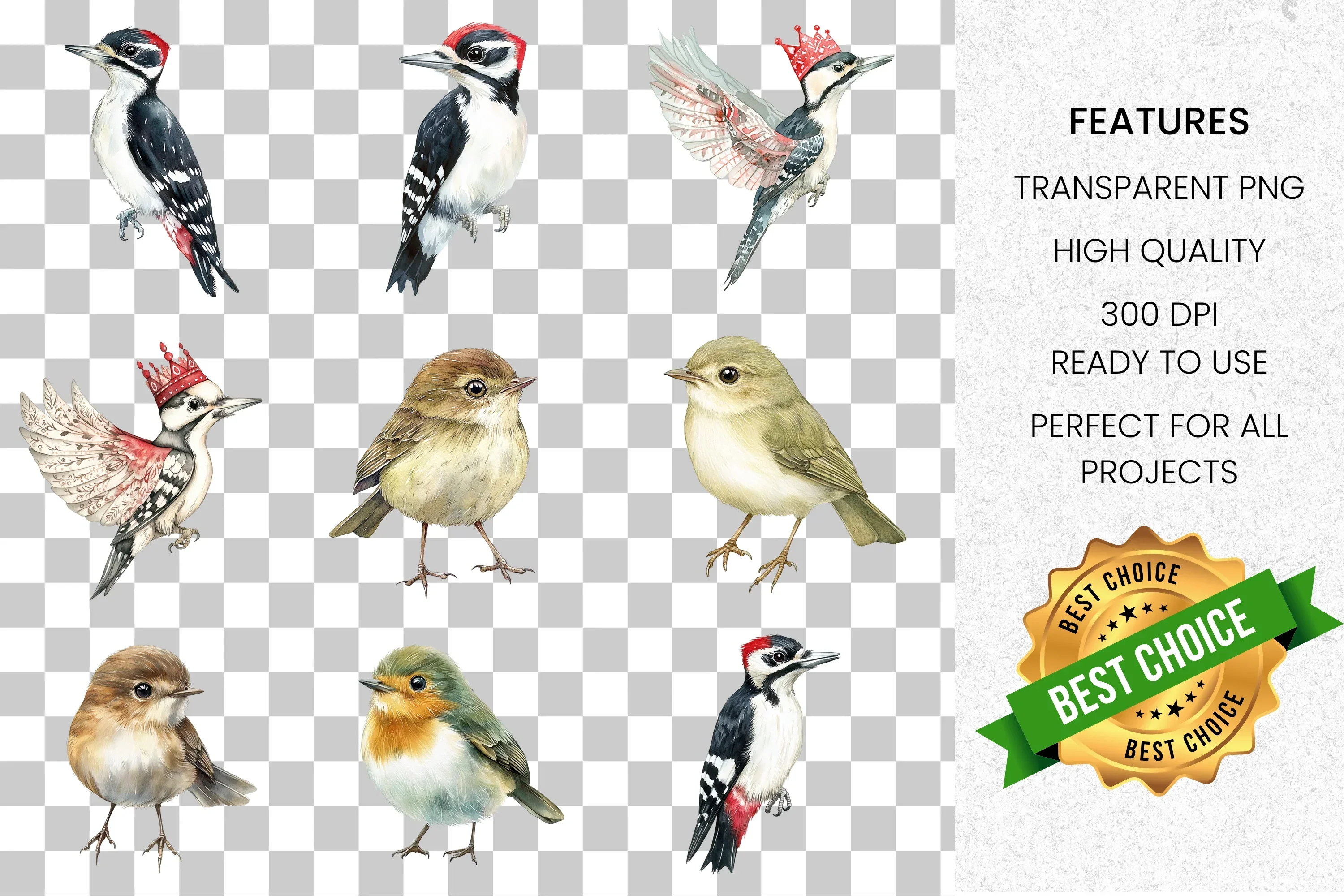 Charming Birds Clipart Bundle - Image 8