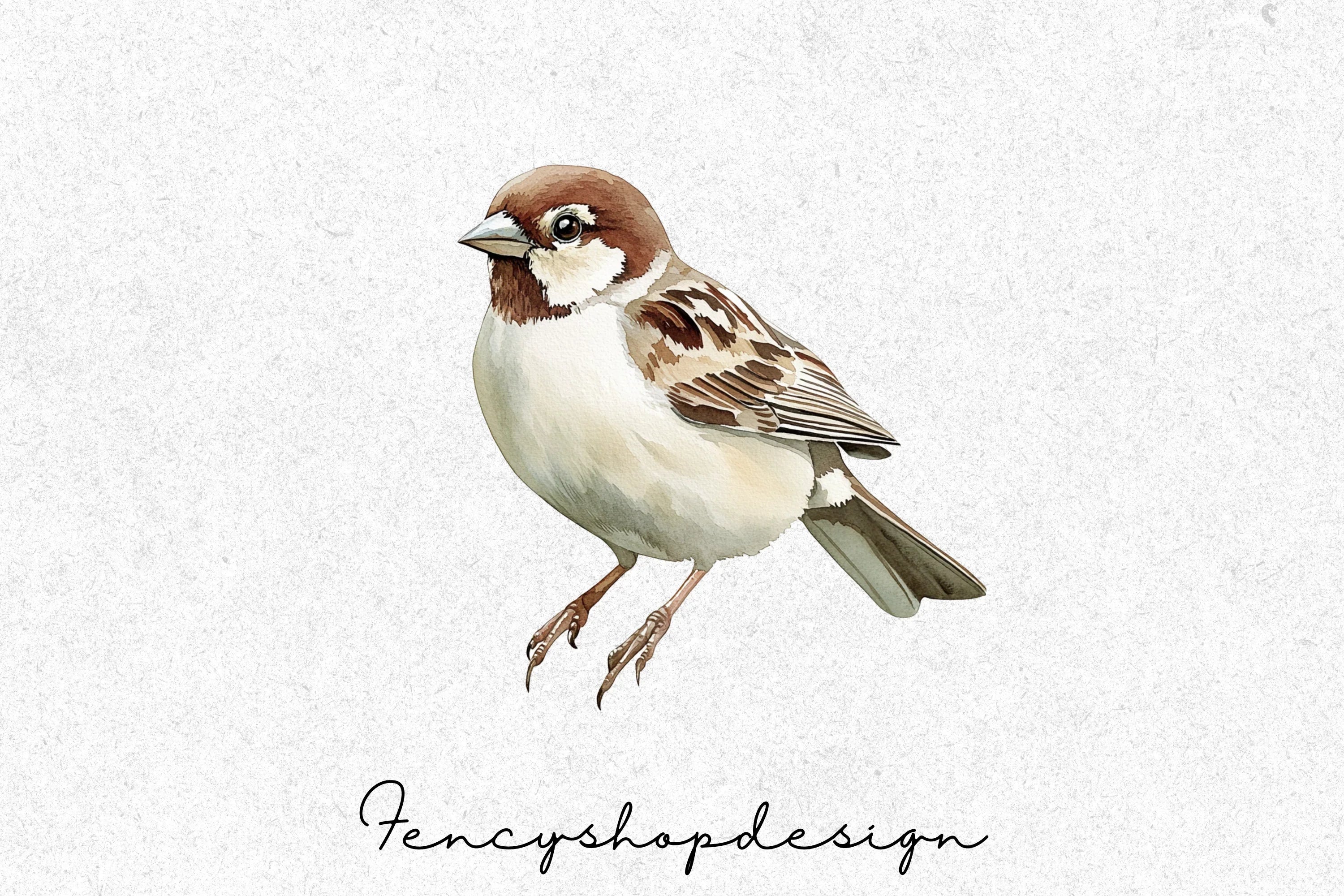 Charming Garden Sparrows Clipart Bundle - Image 3