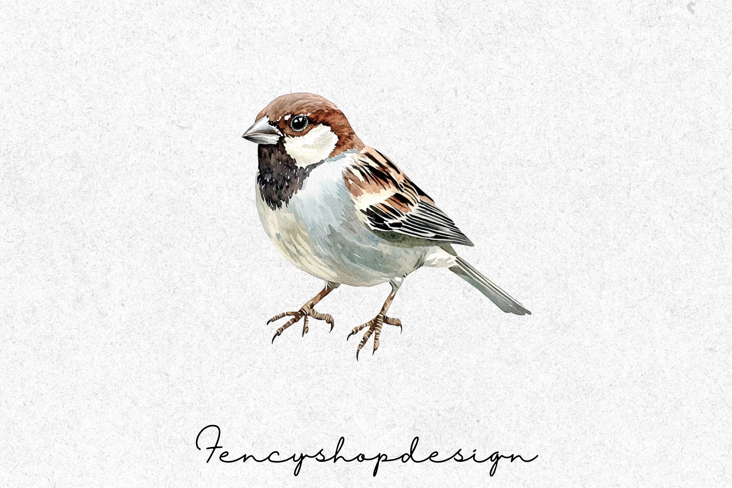 Charming Garden Sparrows Clipart Bundle - Image 4