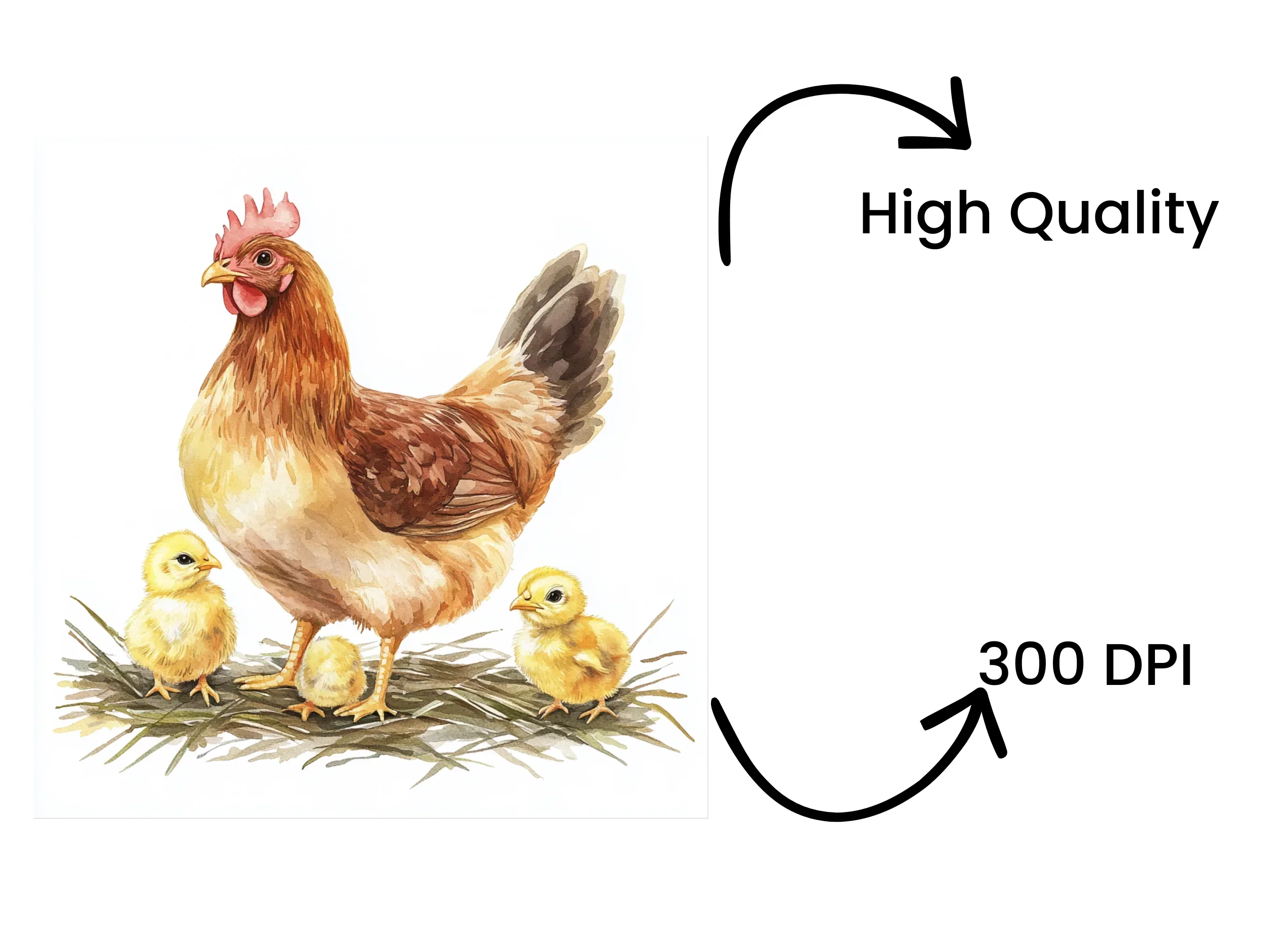 Charming Hen and Chicks Clipart Bundle - Image 4