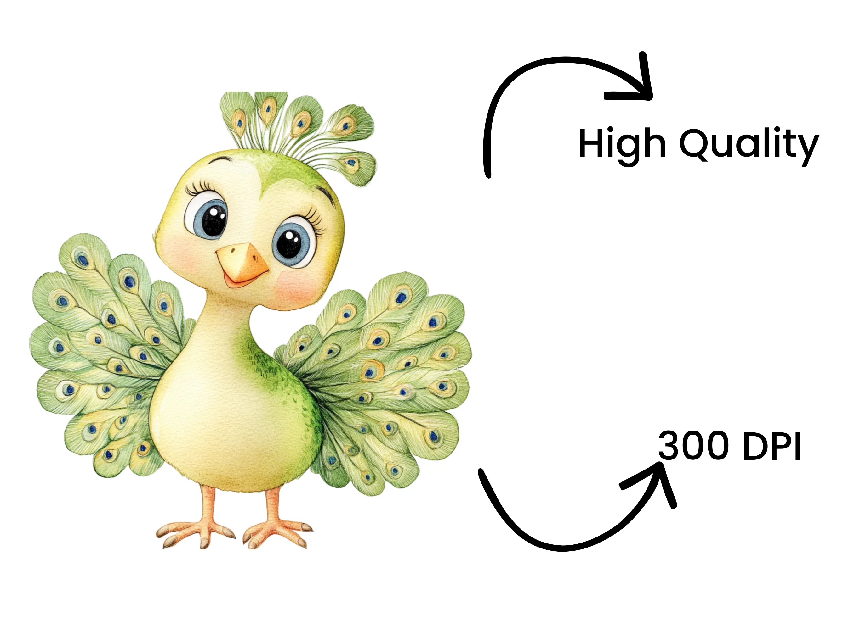 Charming Peacock Bird Clipart Bundle - Image 4
