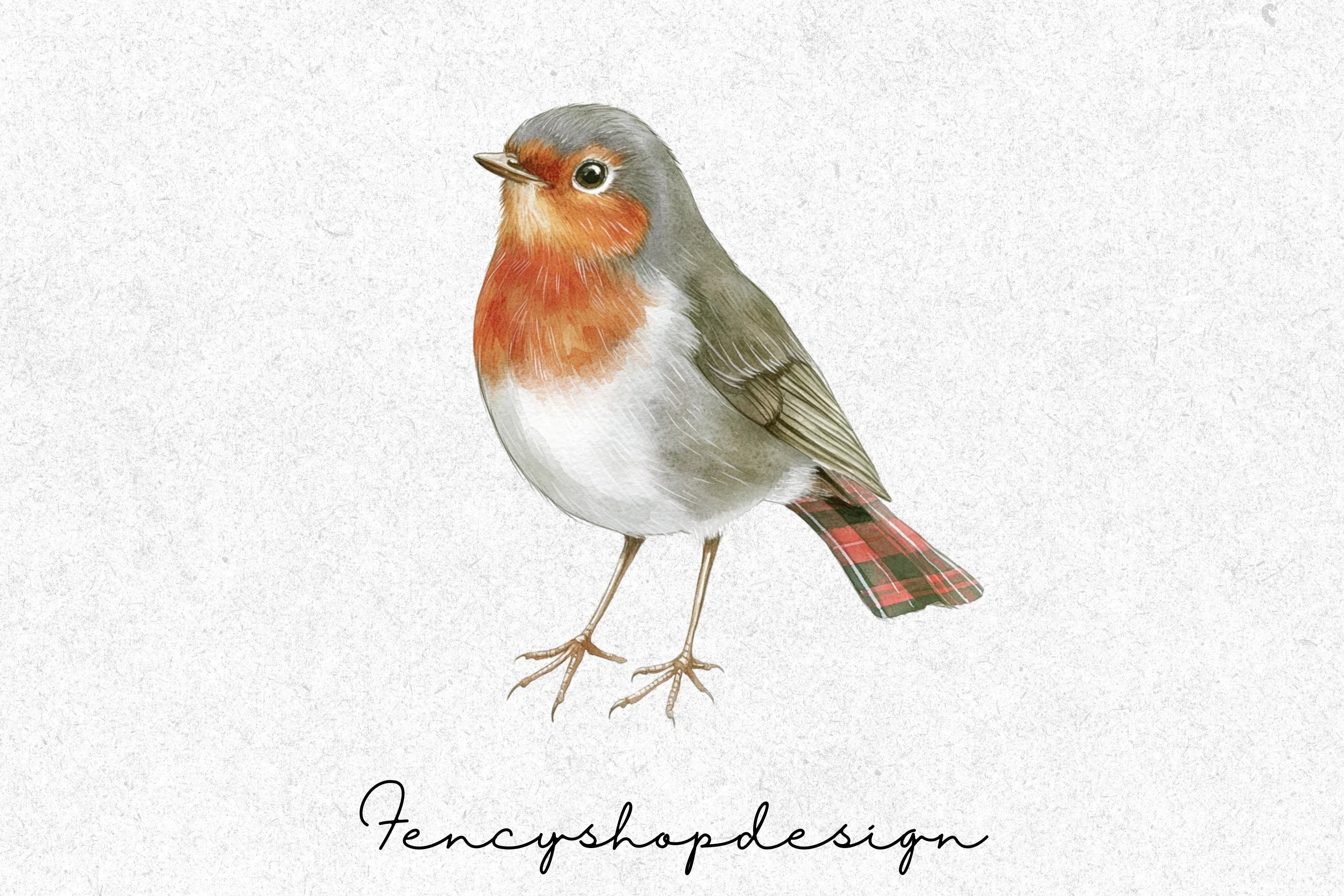 Charming Robin Clipart Bundle - Image 4
