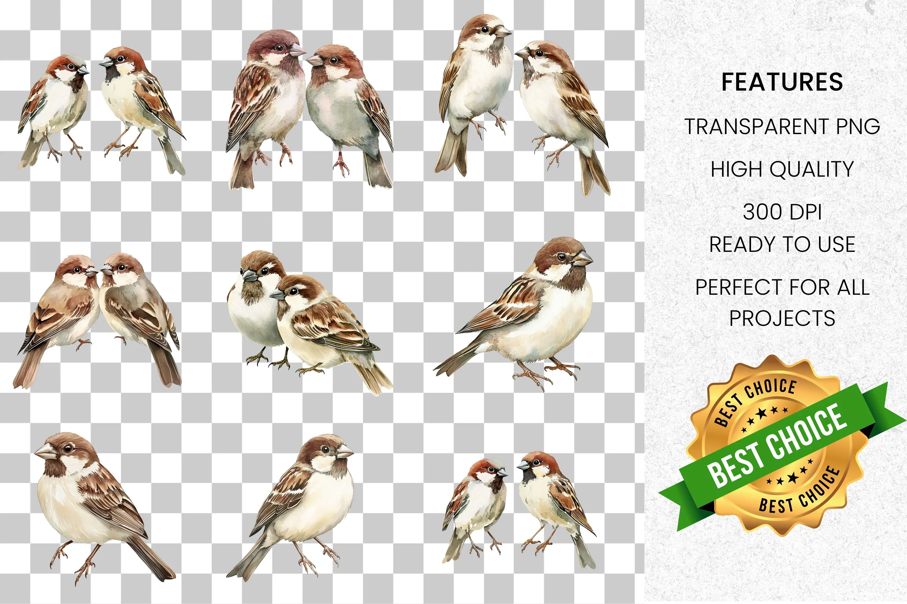 Charming Sparrow Illustrations Clipart Bundle - Image 2