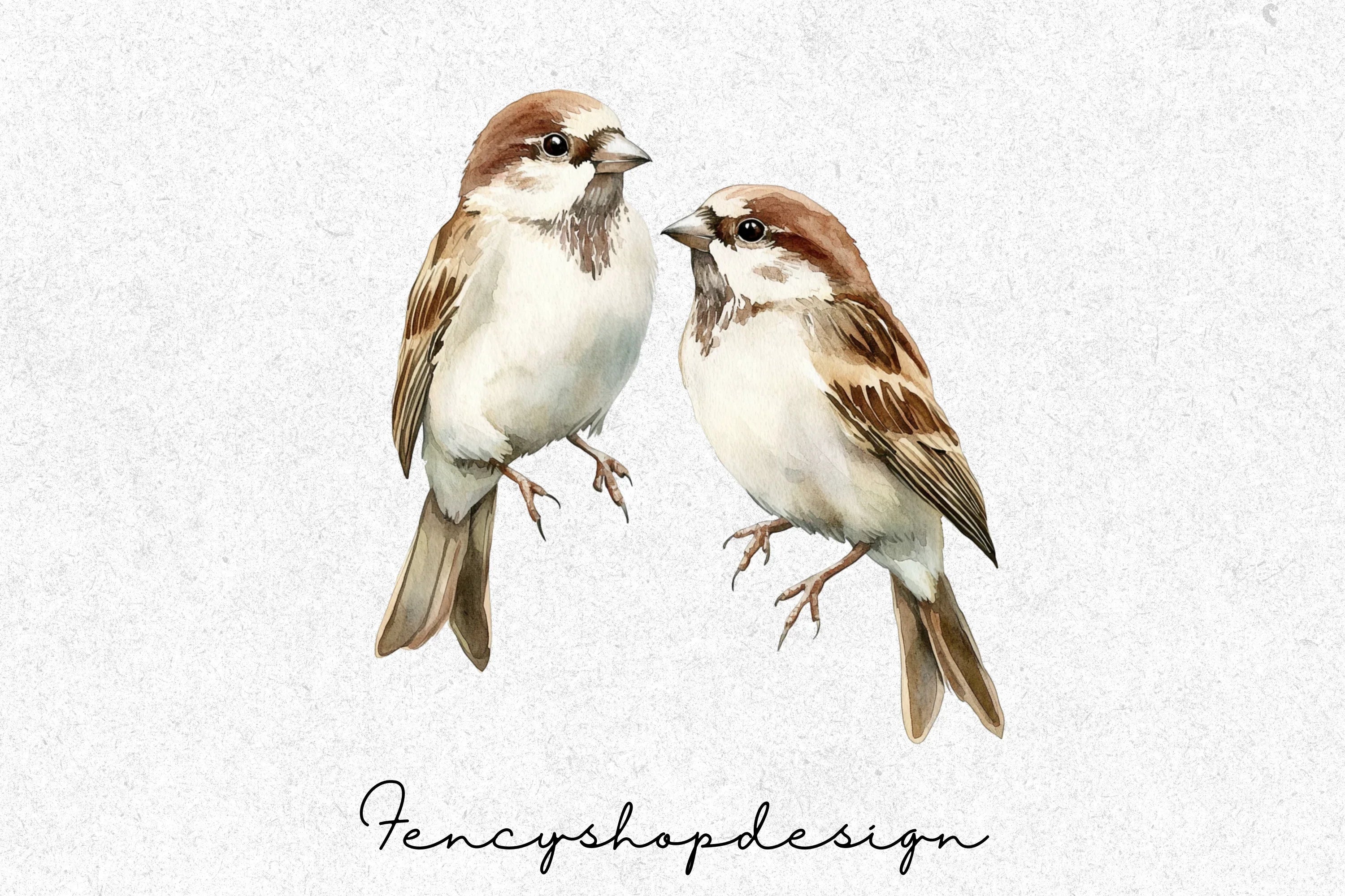 Charming Sparrow Illustrations Clipart Bundle - Image 7