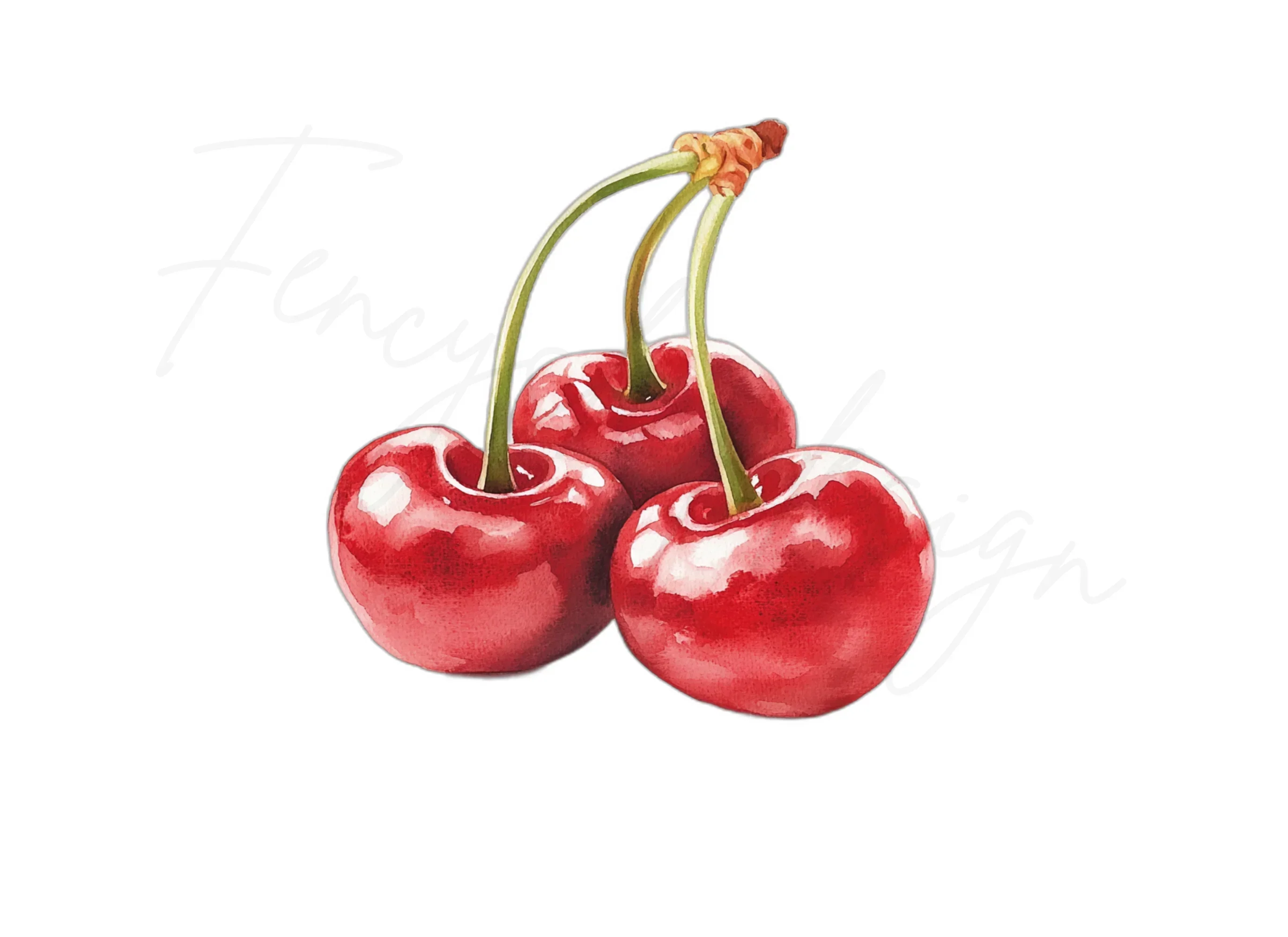 Cherry Clipart Bundle - Image 3