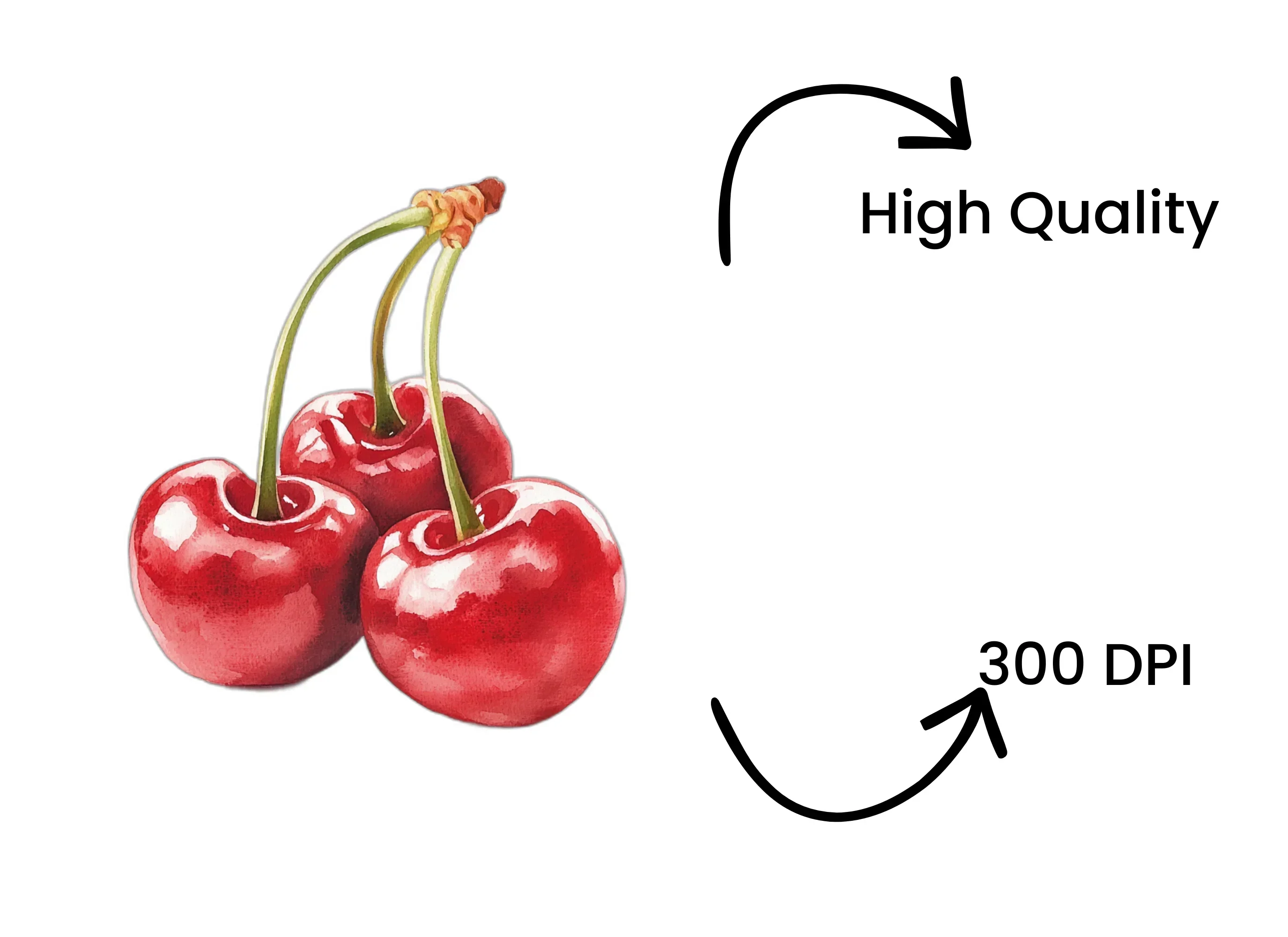 Cherry Clipart Bundle - Image 4