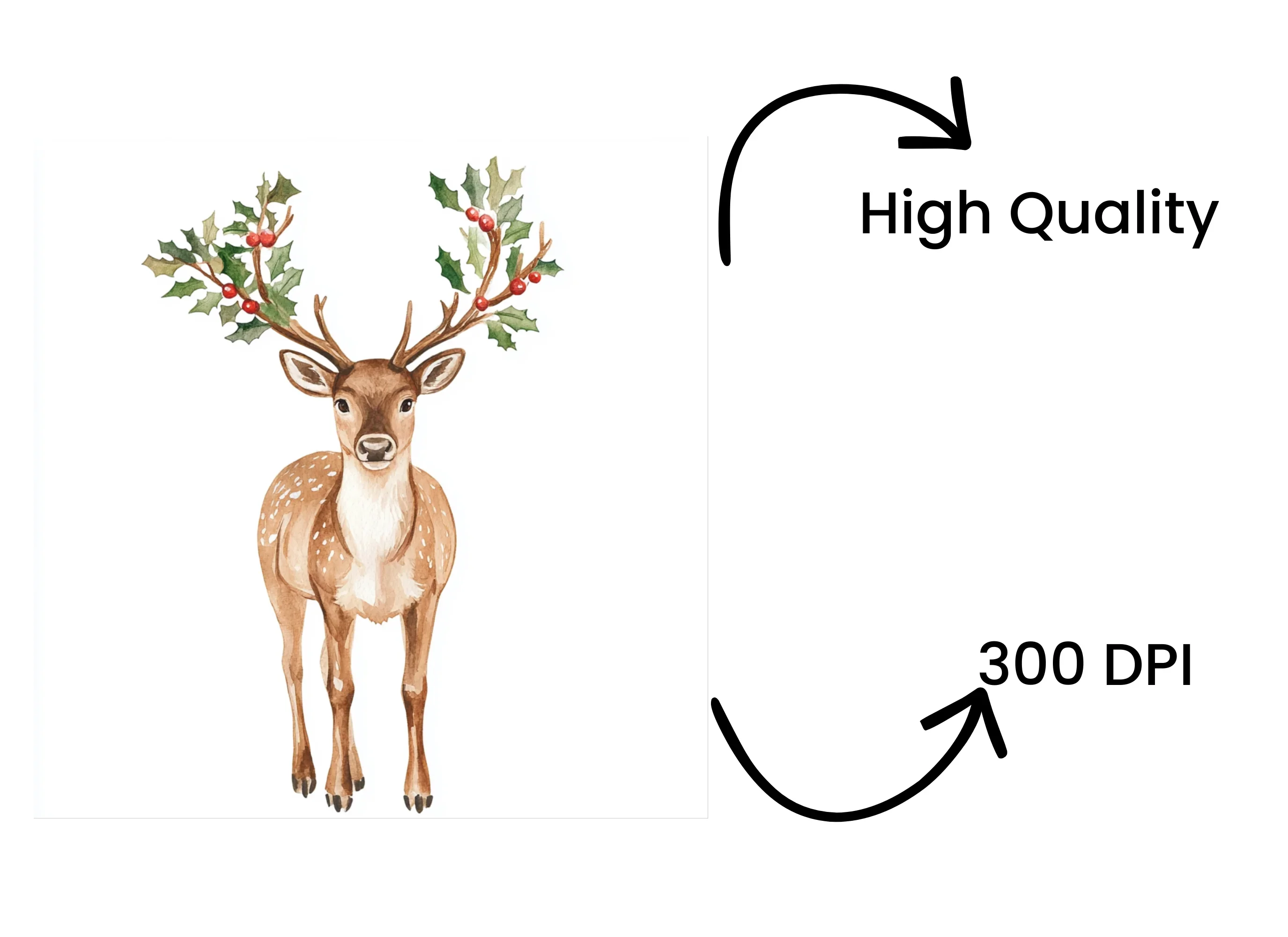 Christmas Holly Deer Clipart Bundle - Image 4