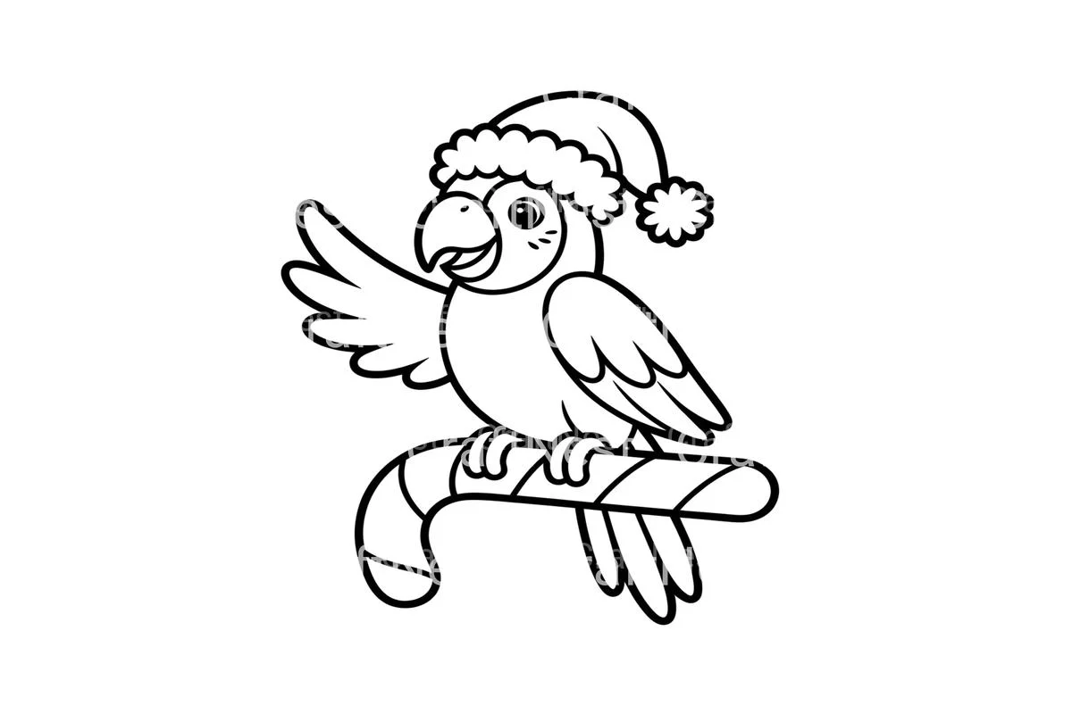 Christmas Parrots on Candy Canes Coloring Books - Image 3
