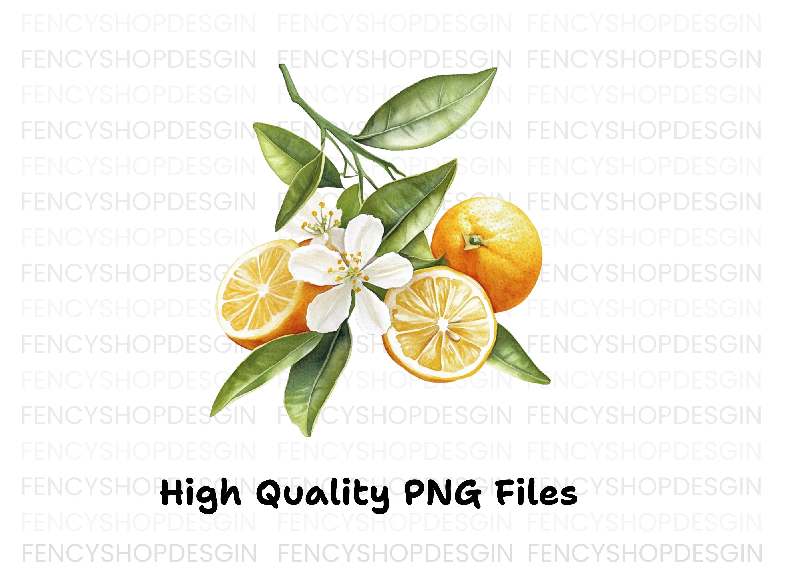 Citrus Fruit Blossom Clipart Bundle - Image 3