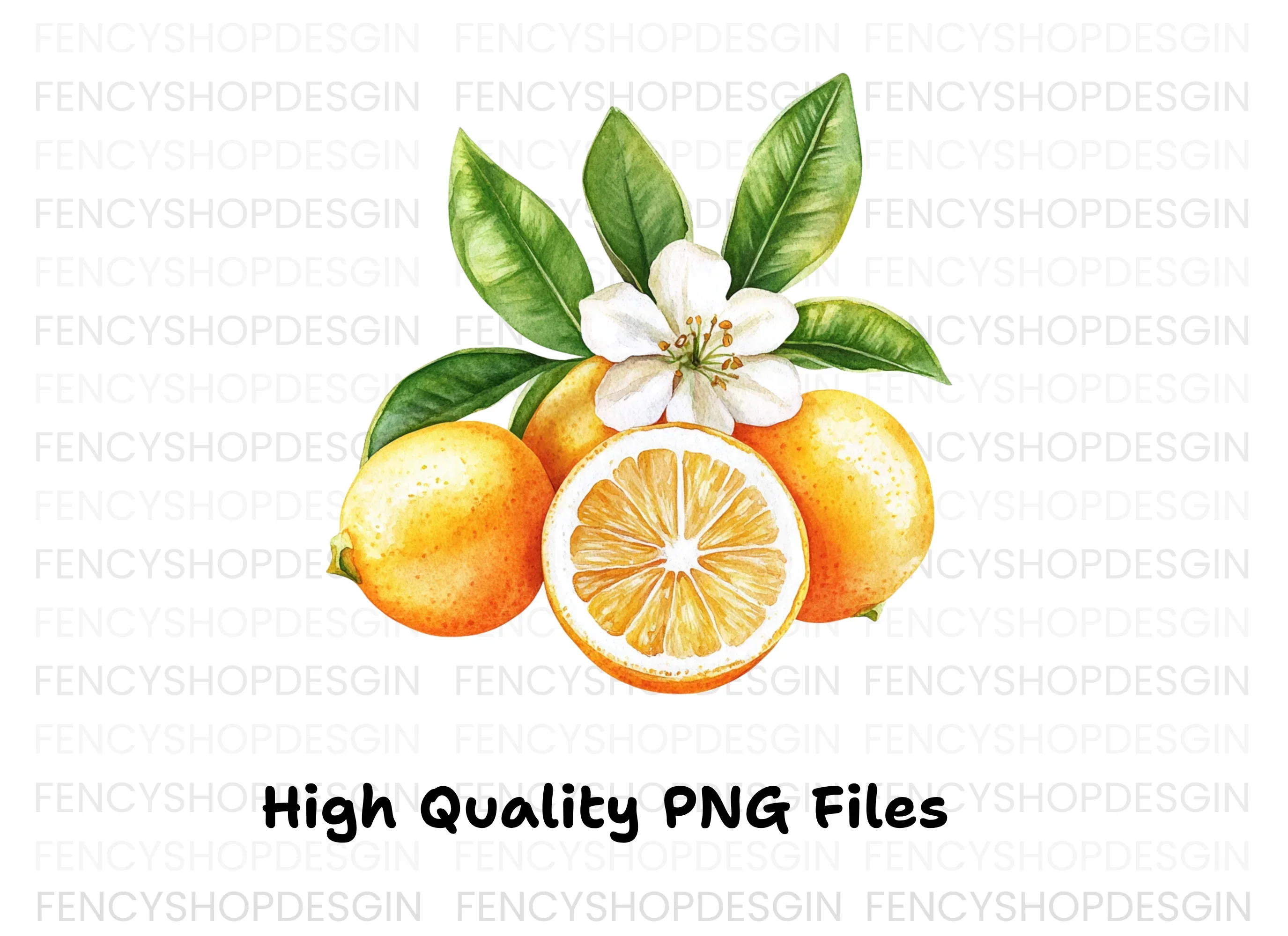 Citrus Fruit Clipart Bundle - Image 2