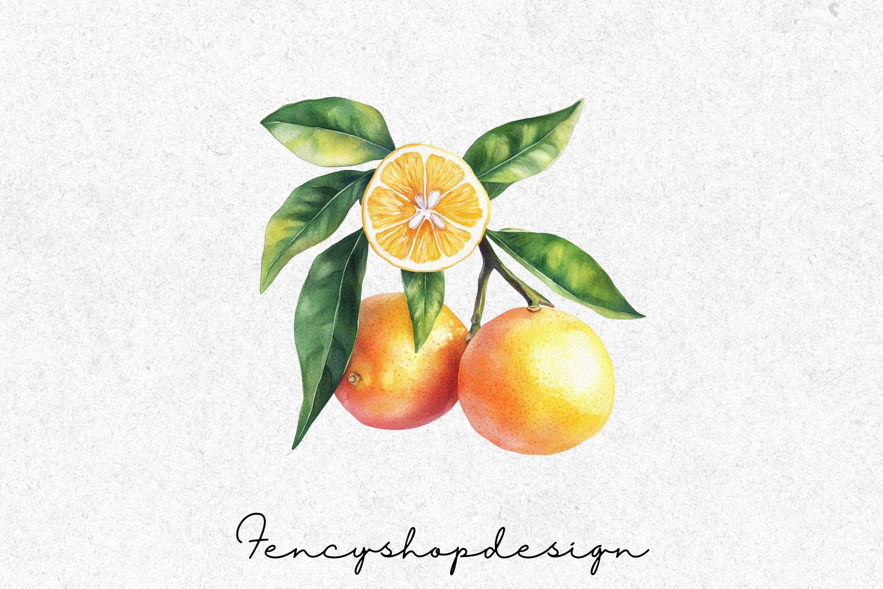 Citrus Fruits Blossoms Clipart Bundle - Image 3