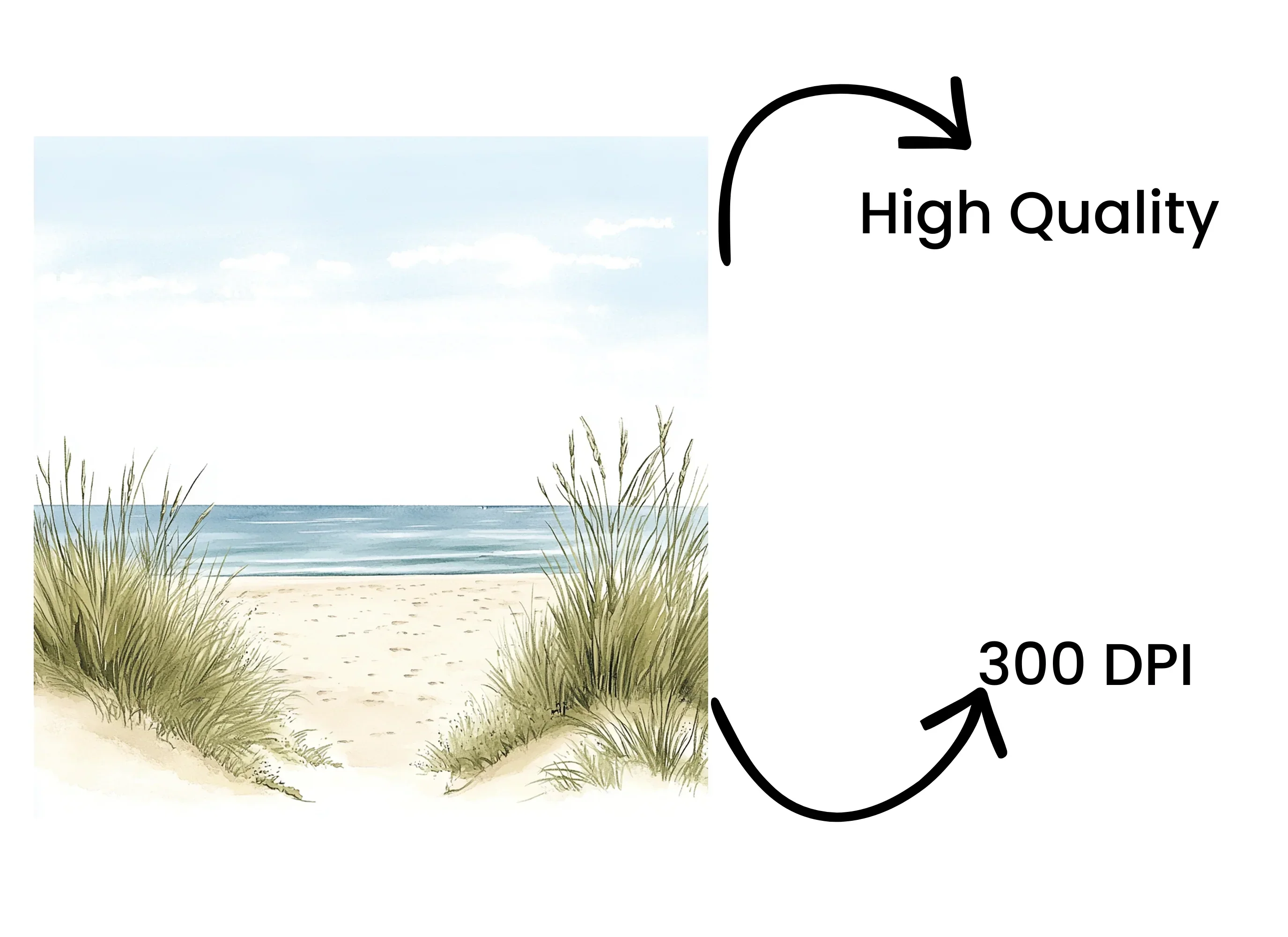 Coastal Beach Path with Dune Grass Clipart Bundle - Image 4