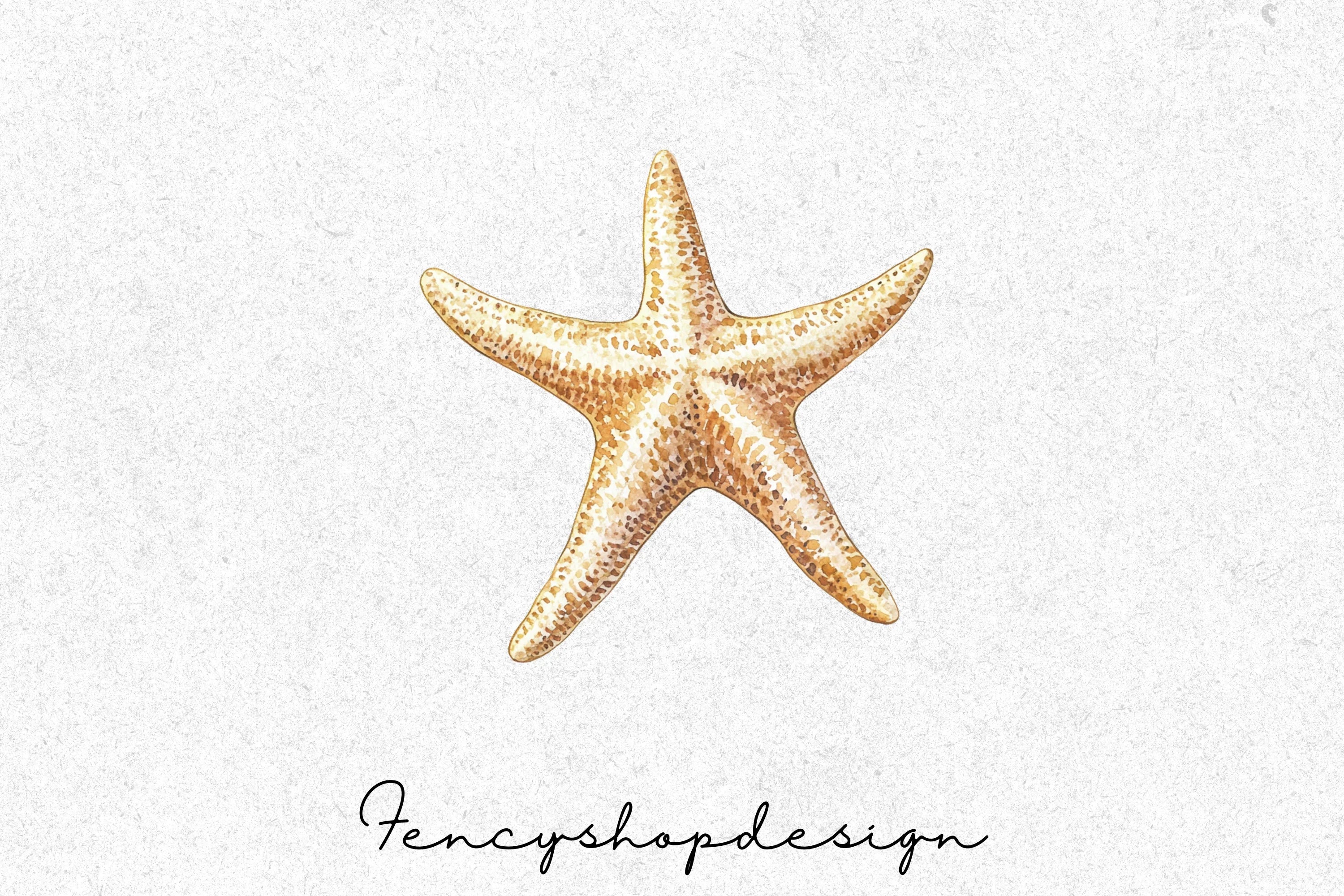 Coastal Starfish Clipart Bundle - Image 2