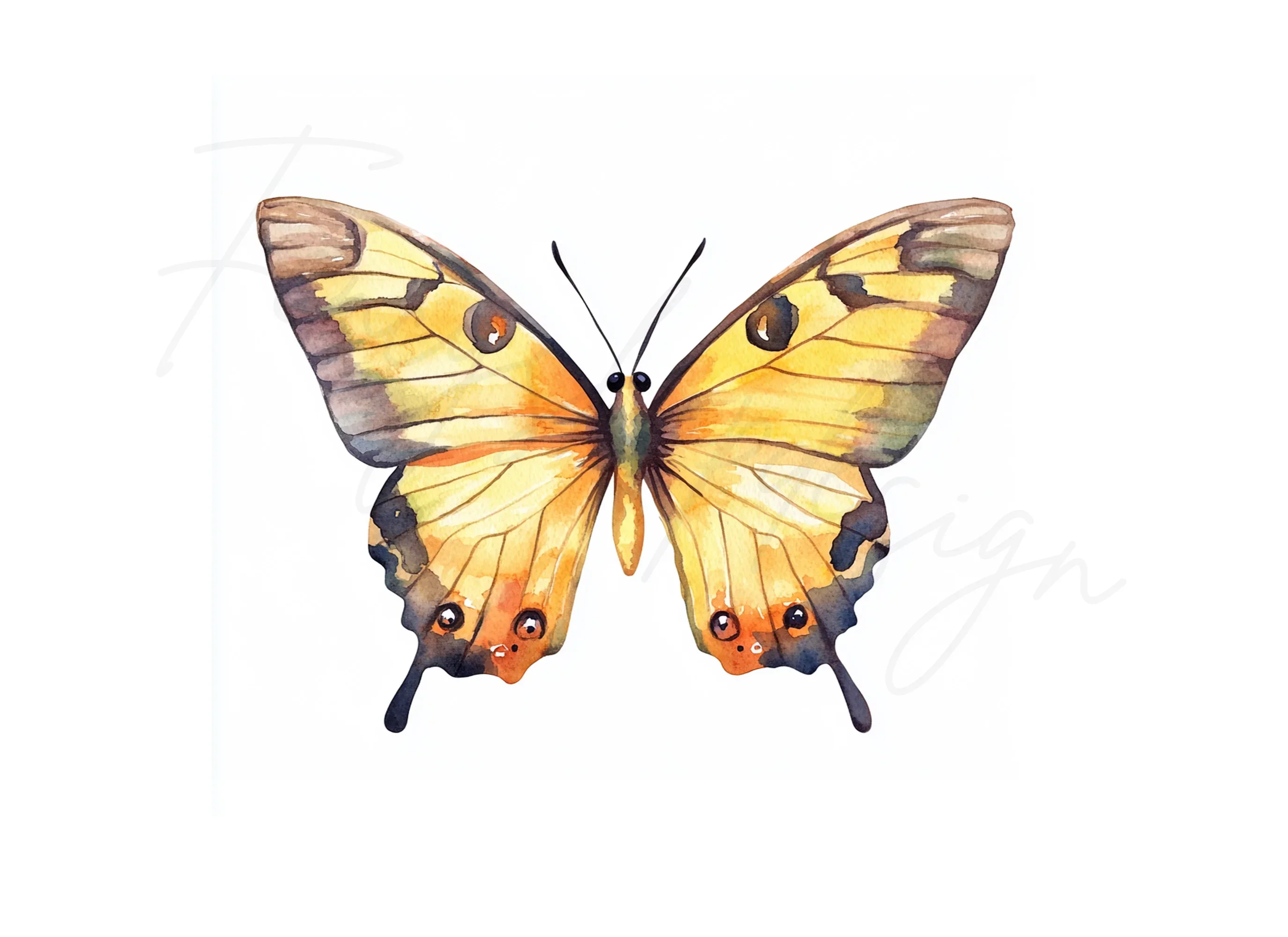 Colorful Butterfly Clipart Bundle - Image 3