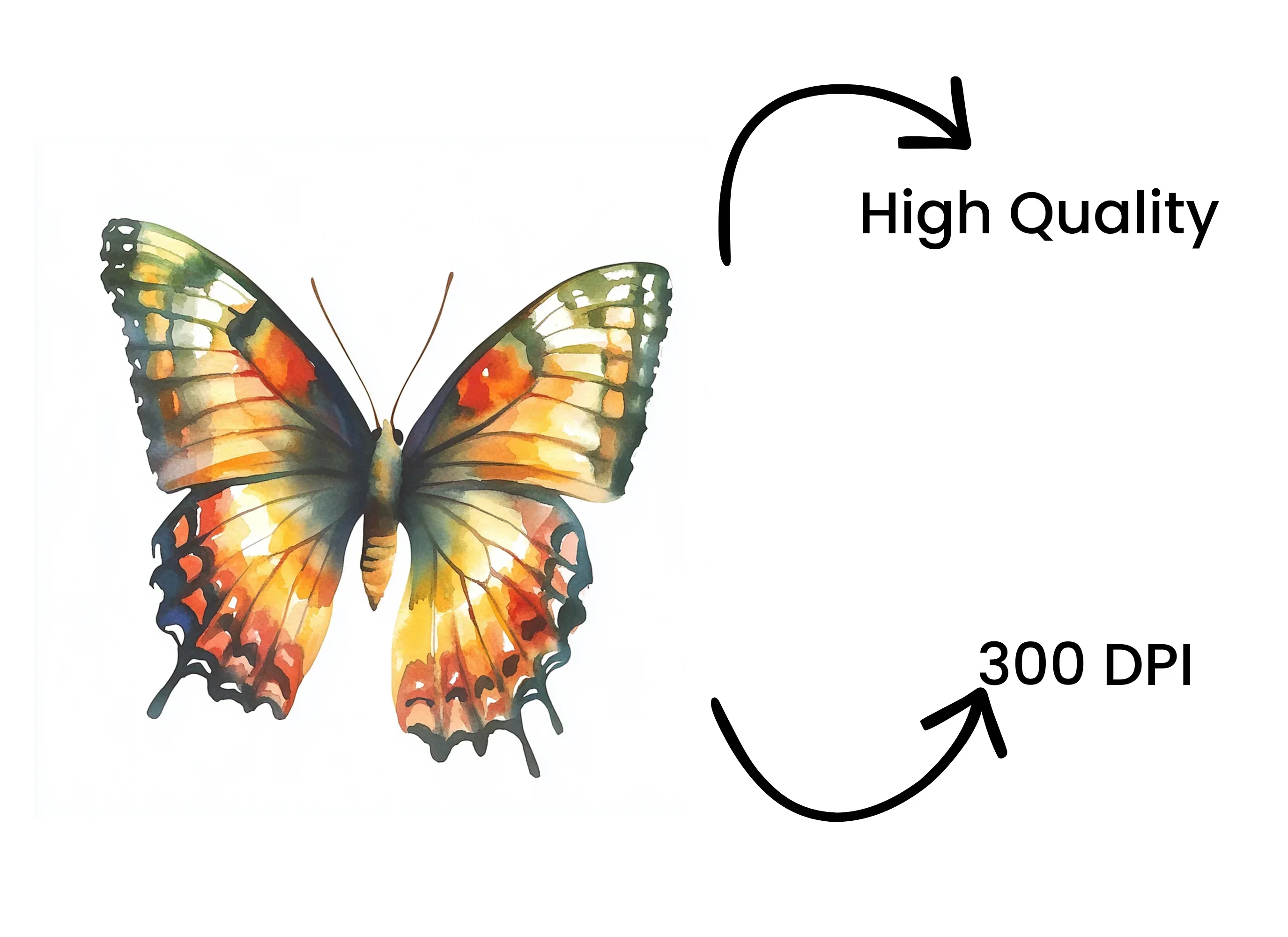 Colorful Butterfly Clipart Bundle - Image 4
