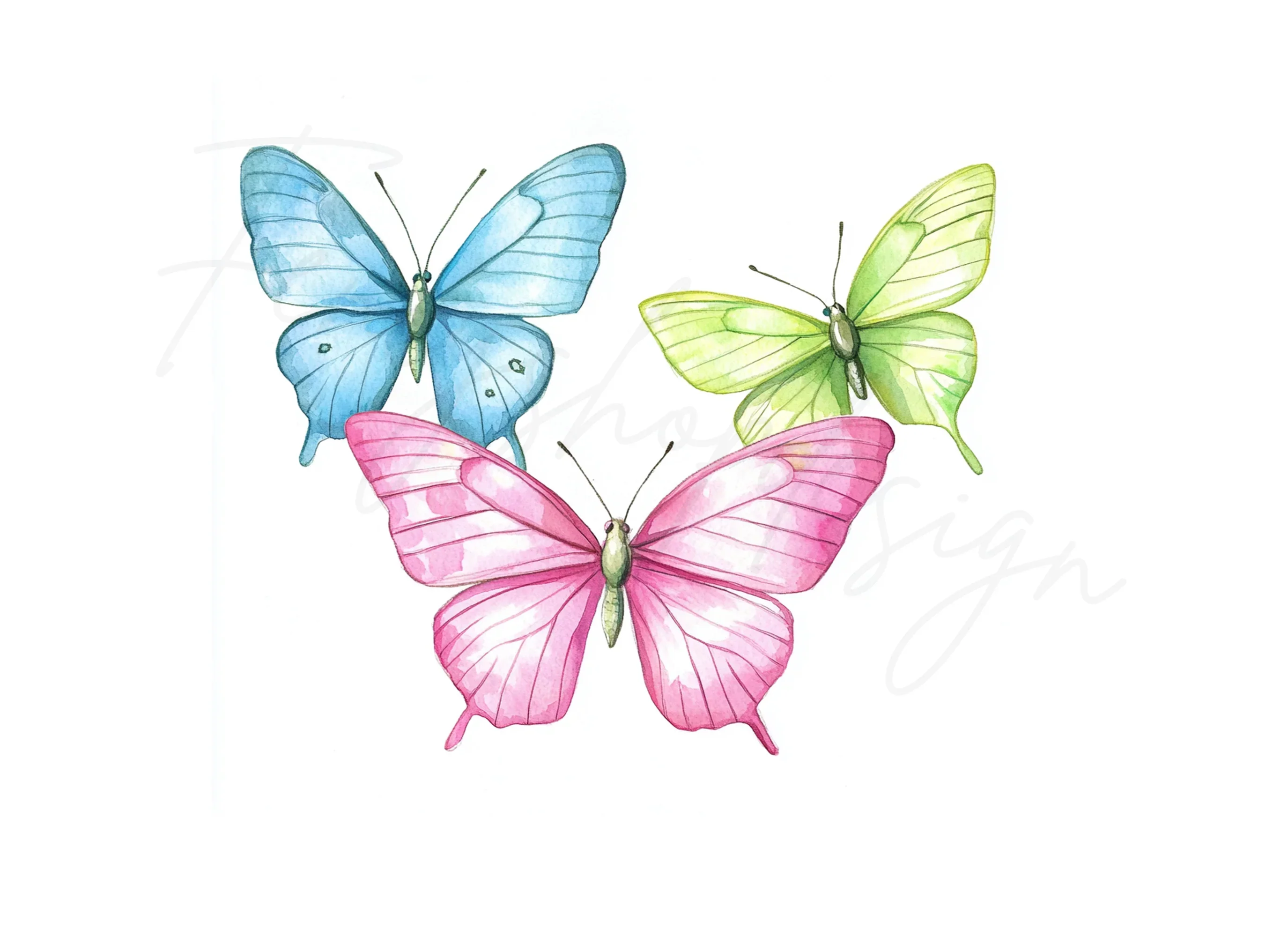 Colorful Butterfly Clipart Bundle - Image 2