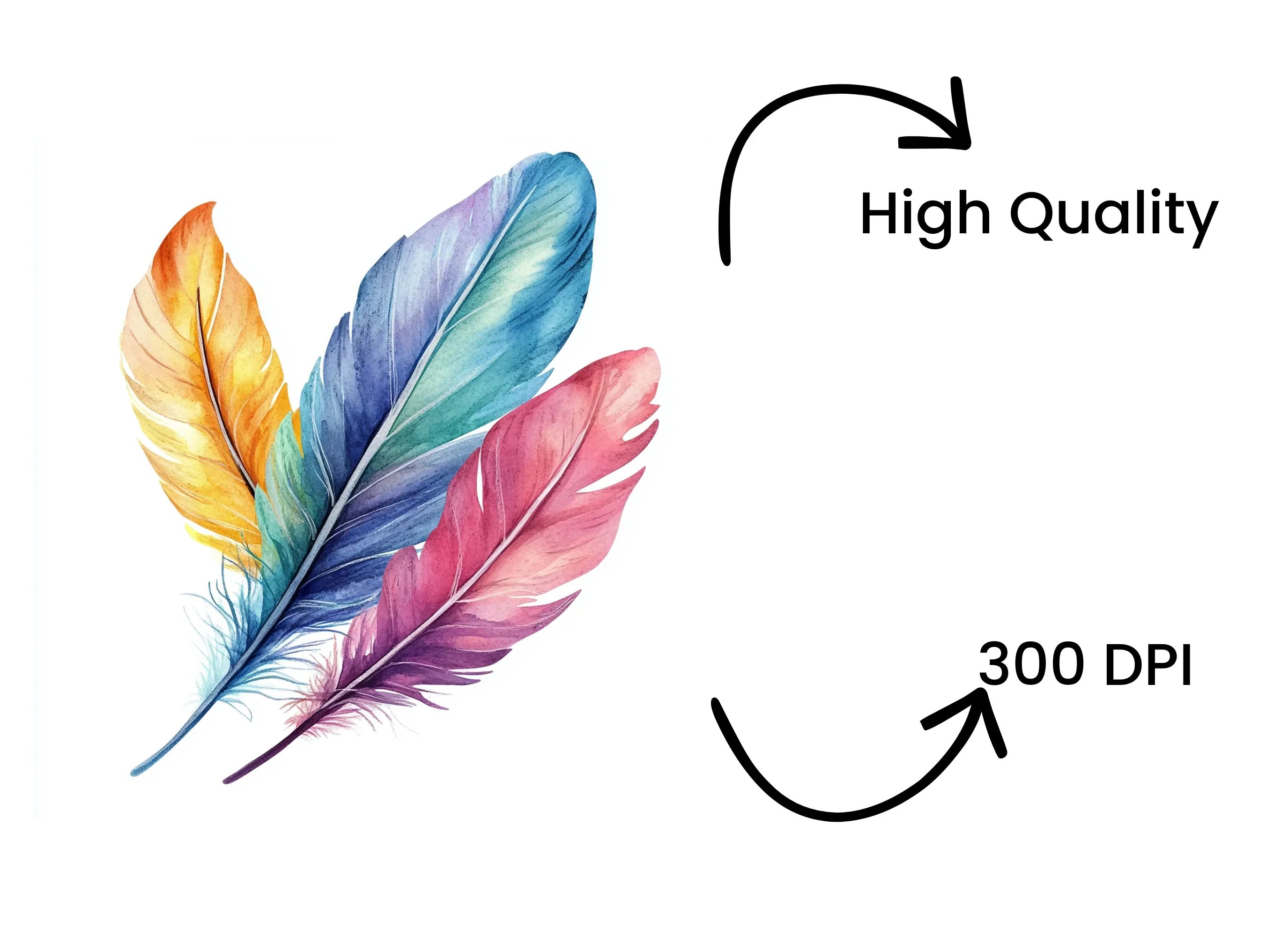 Colorful Feather Arrangement Clipart Bundle - Image 4