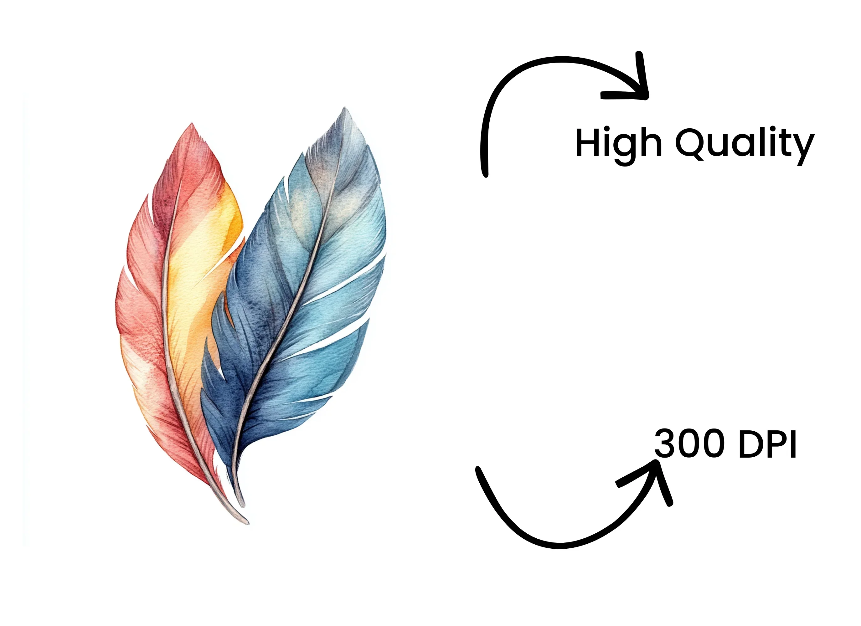 Colorful Feather Clipart Bundle - Image 4
