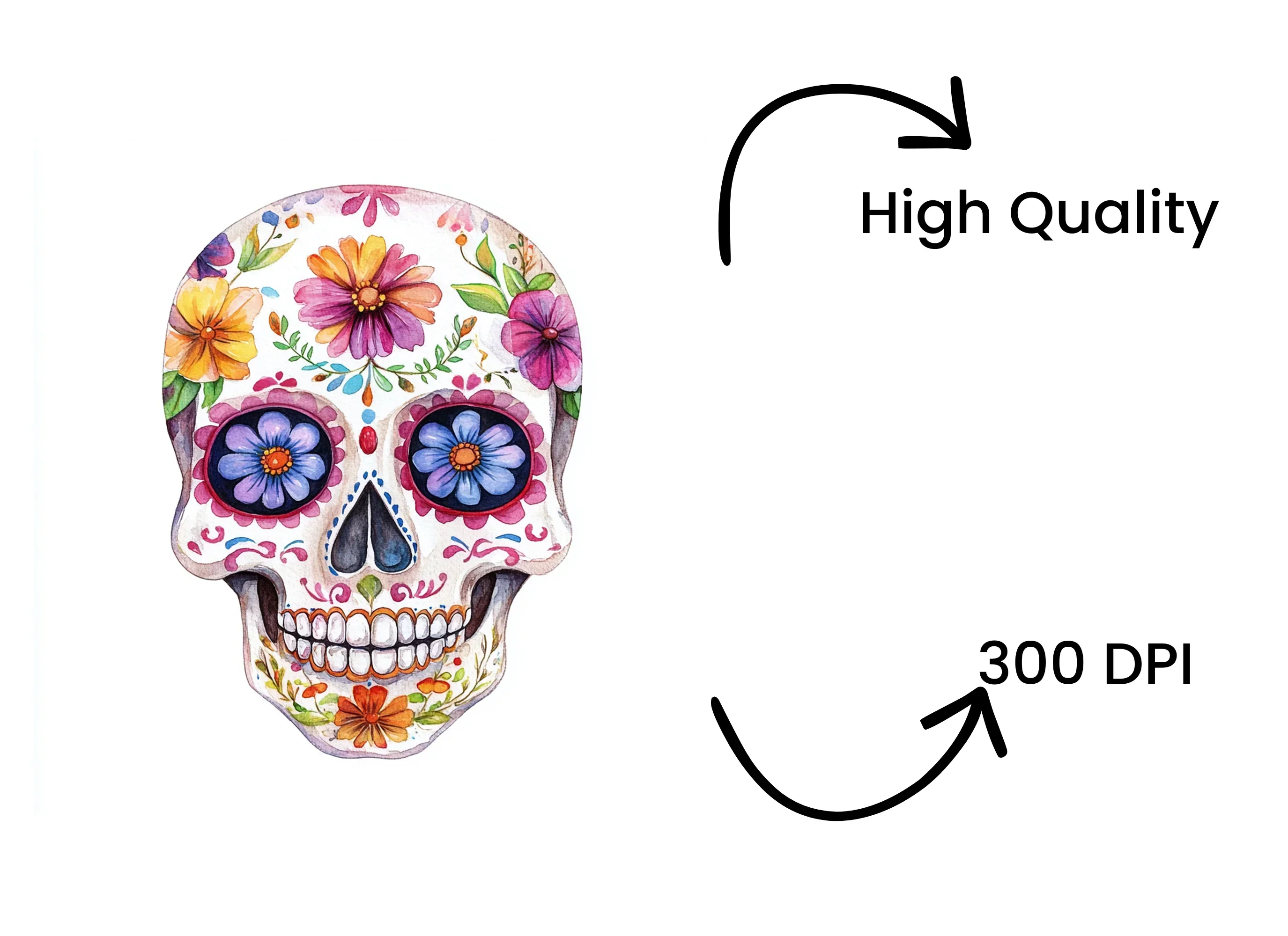 Colorful Floral Sugar Skull Clipart Bundle - Image 4