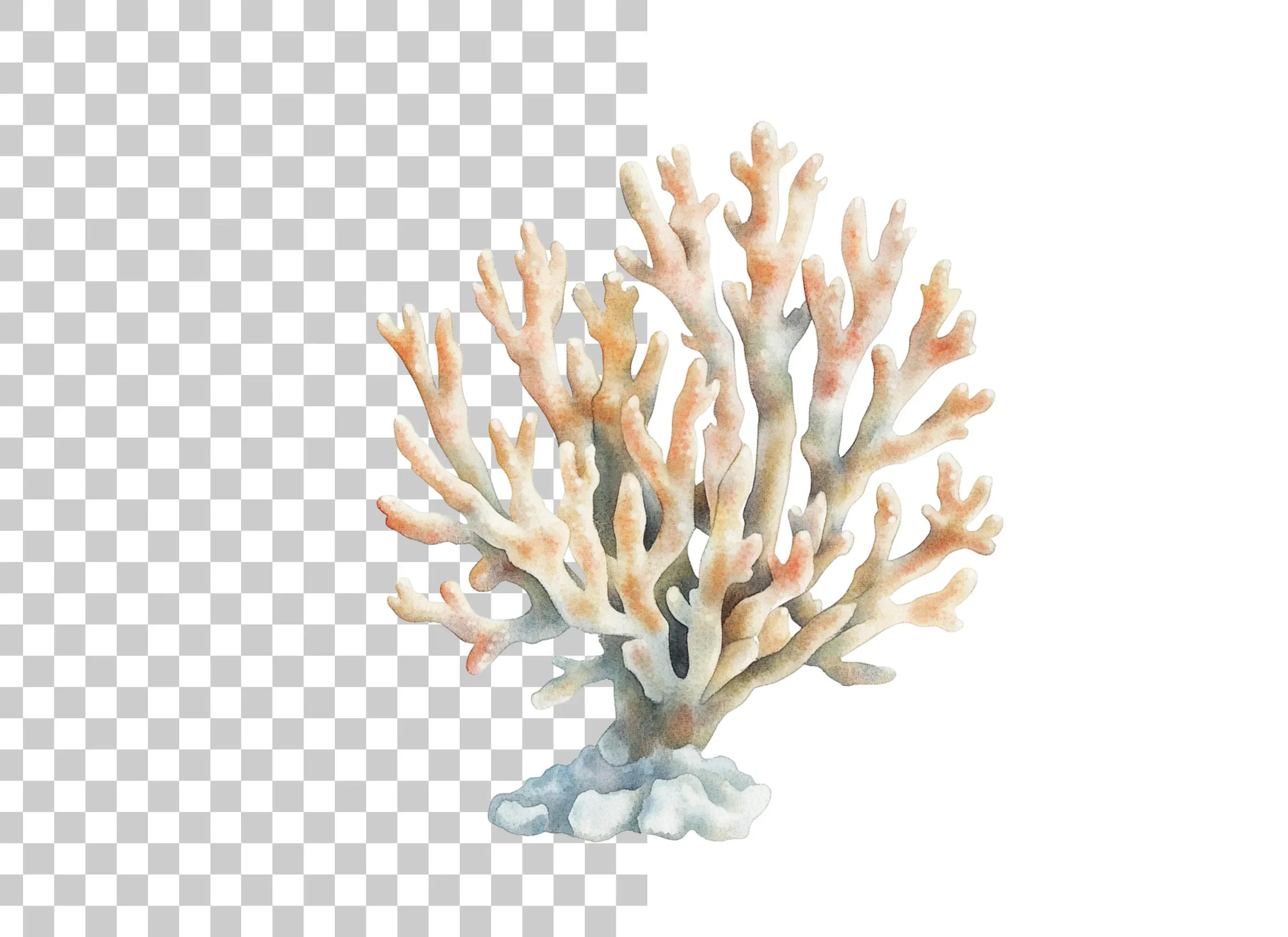 Coral Reef Clipart Bundle - Image 2