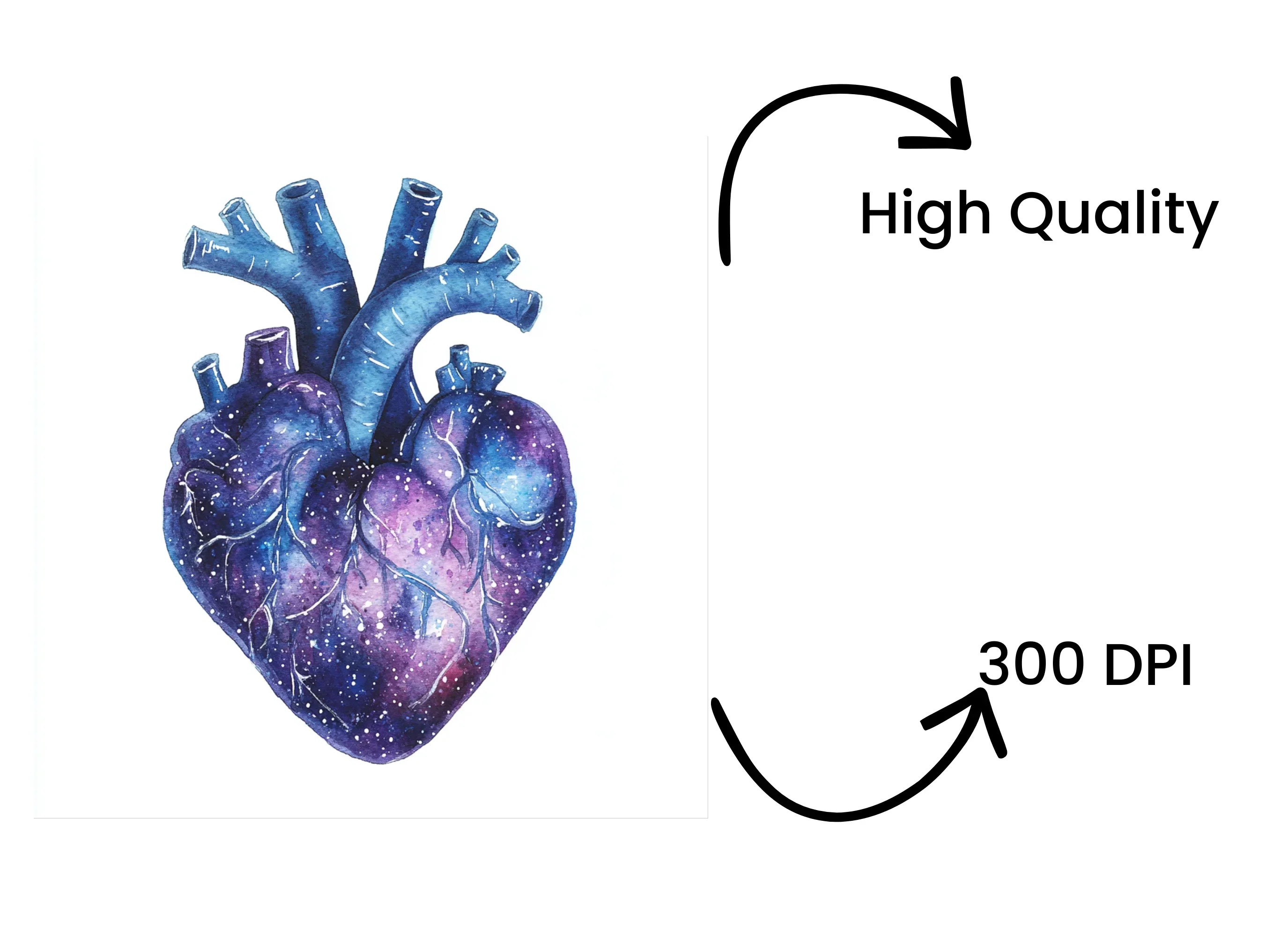 Cosmic Anatomical Heart Clipart Bundle - Image 4