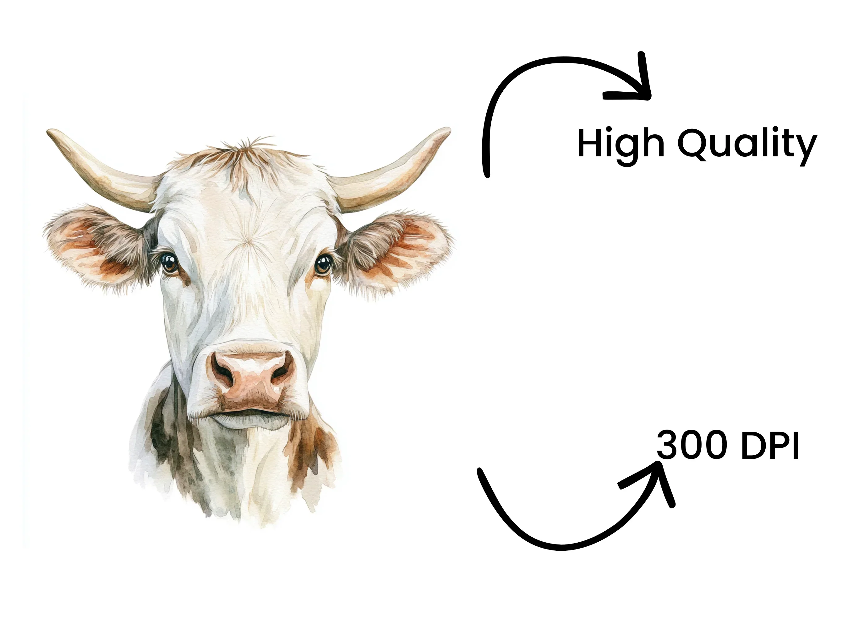 Cow Head Clipart Bundle - Image 4