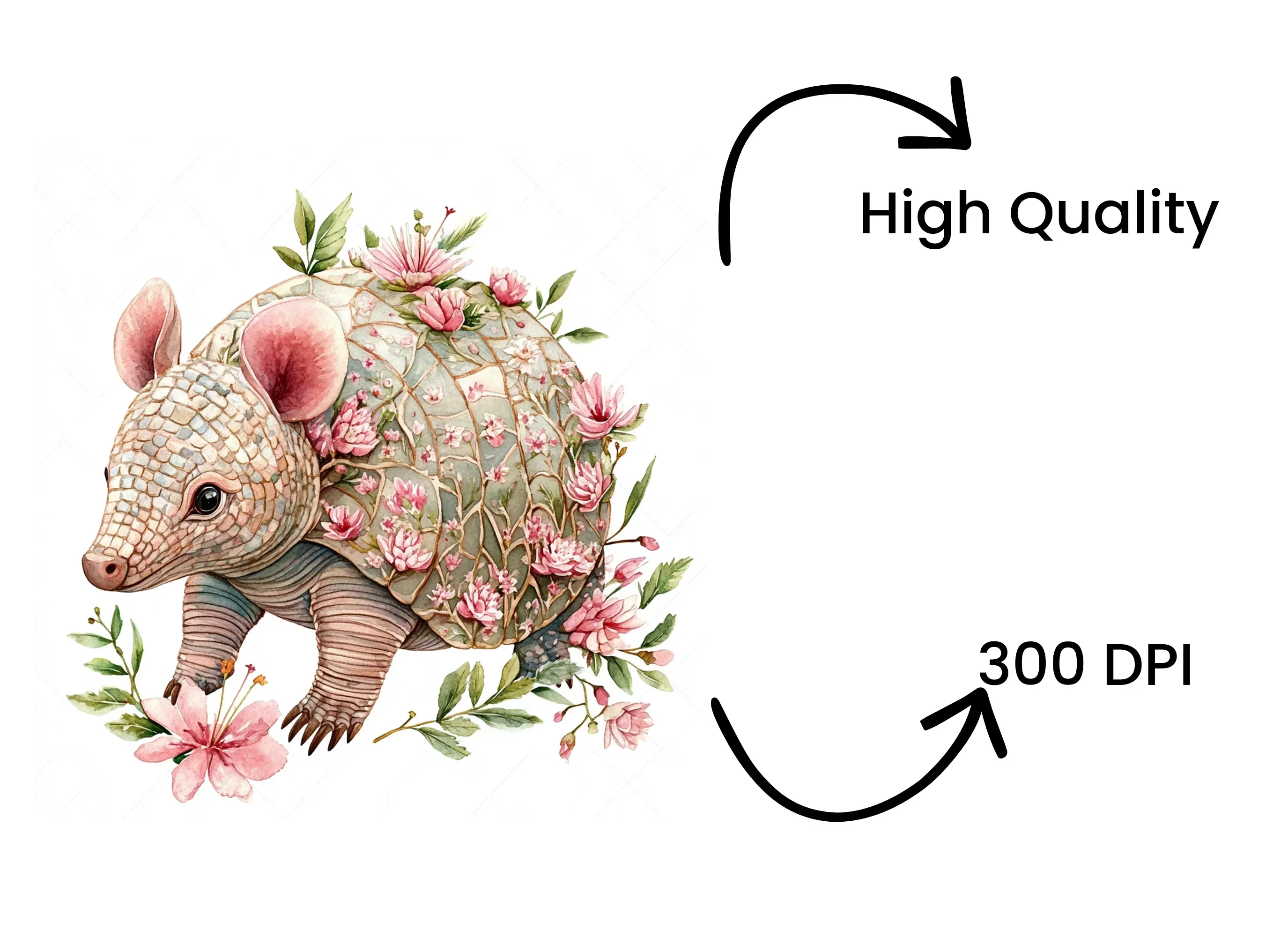 Cute Armadillo Floral Clipart Bundle - Image 4