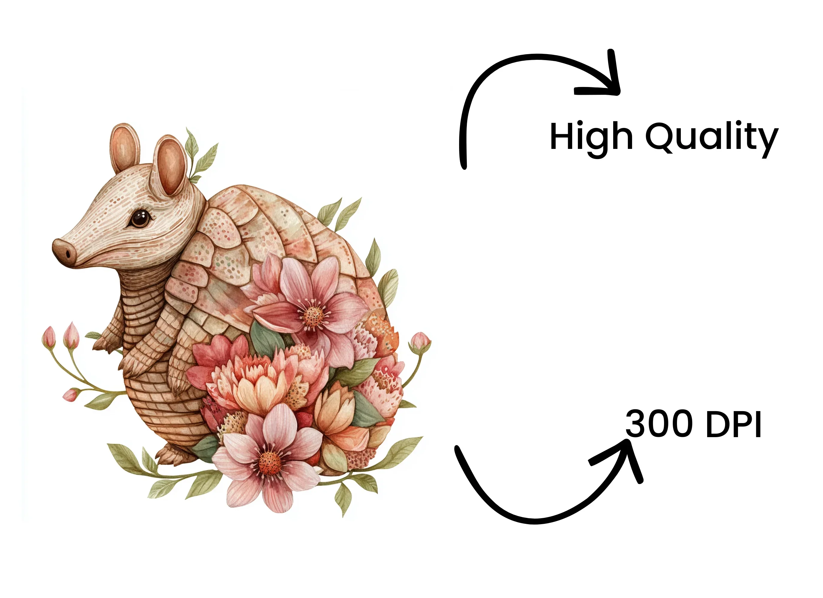 Cute Armadillo with Flowers Clipart Bundle - Image 4