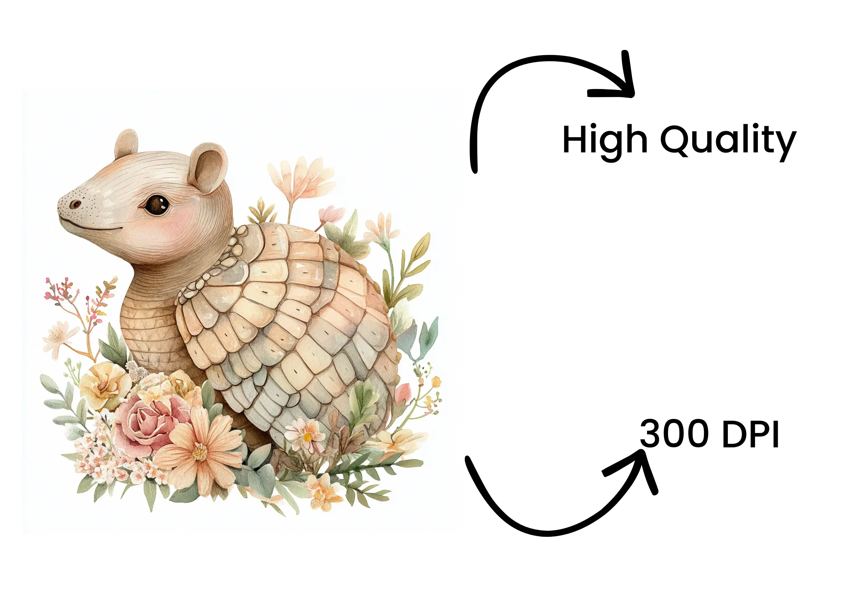 Cute Armadillo with Flowers Clipart Bundle - Image 4