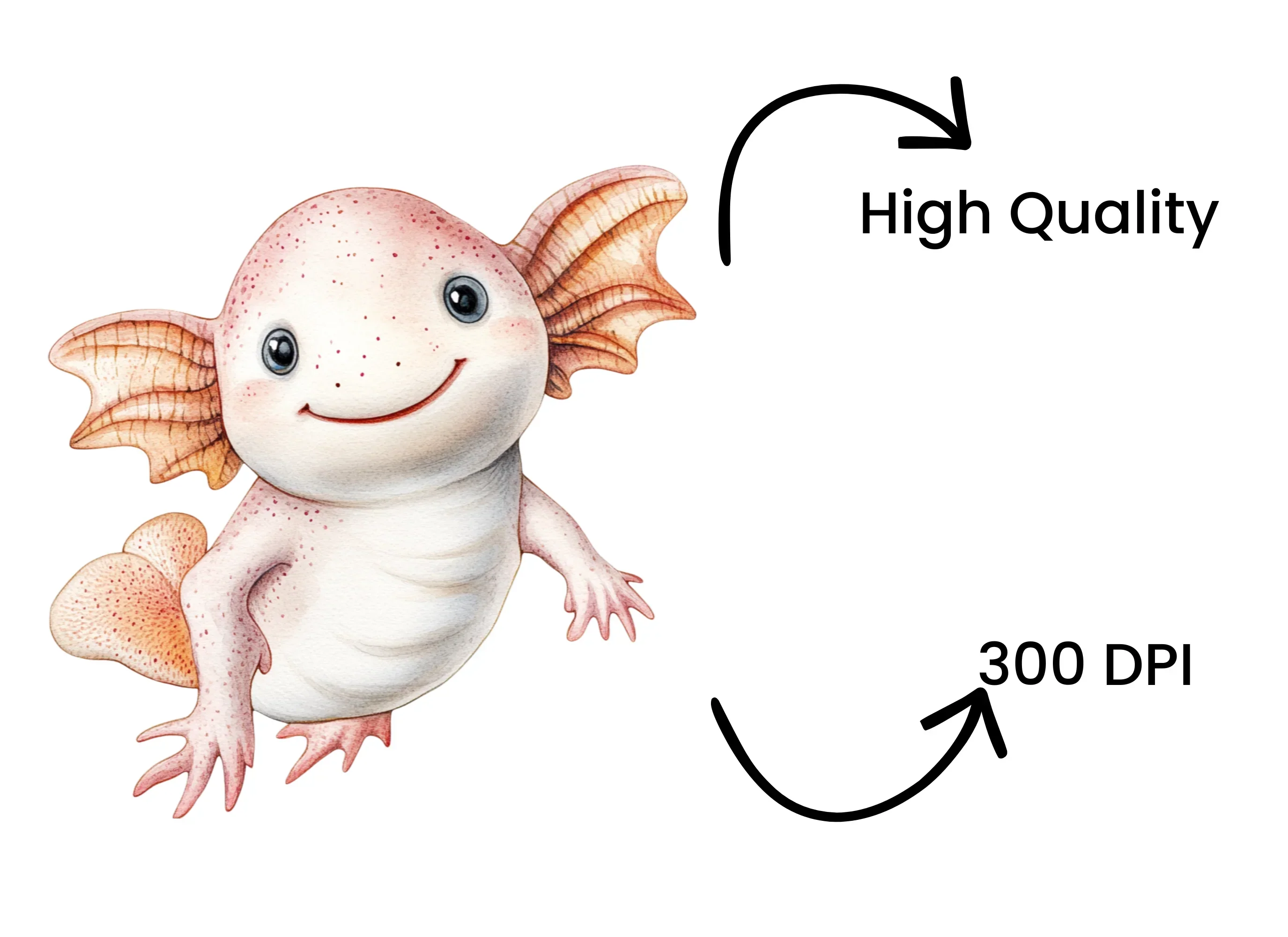 Cute Axolotl Clipart Bundle - Image 4