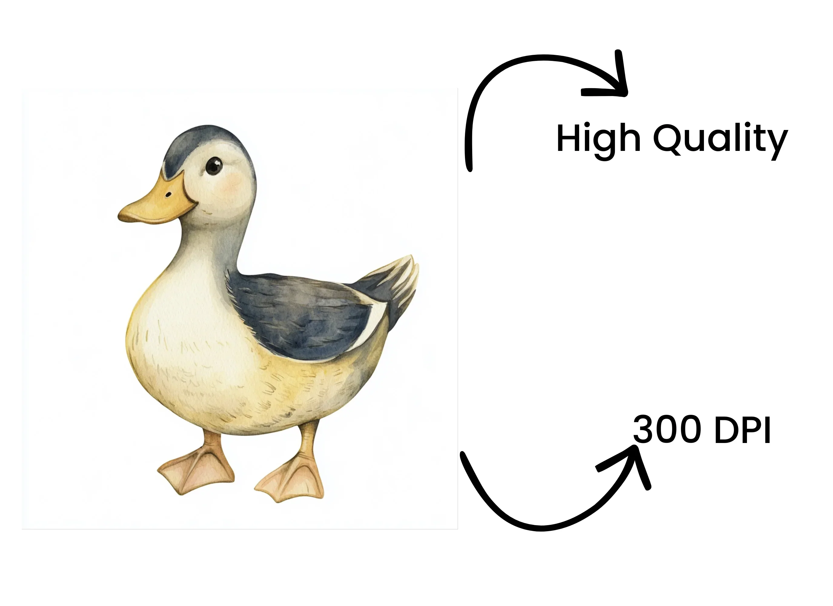 Cute Baby Ducklings Clipart Bundle - Image 4