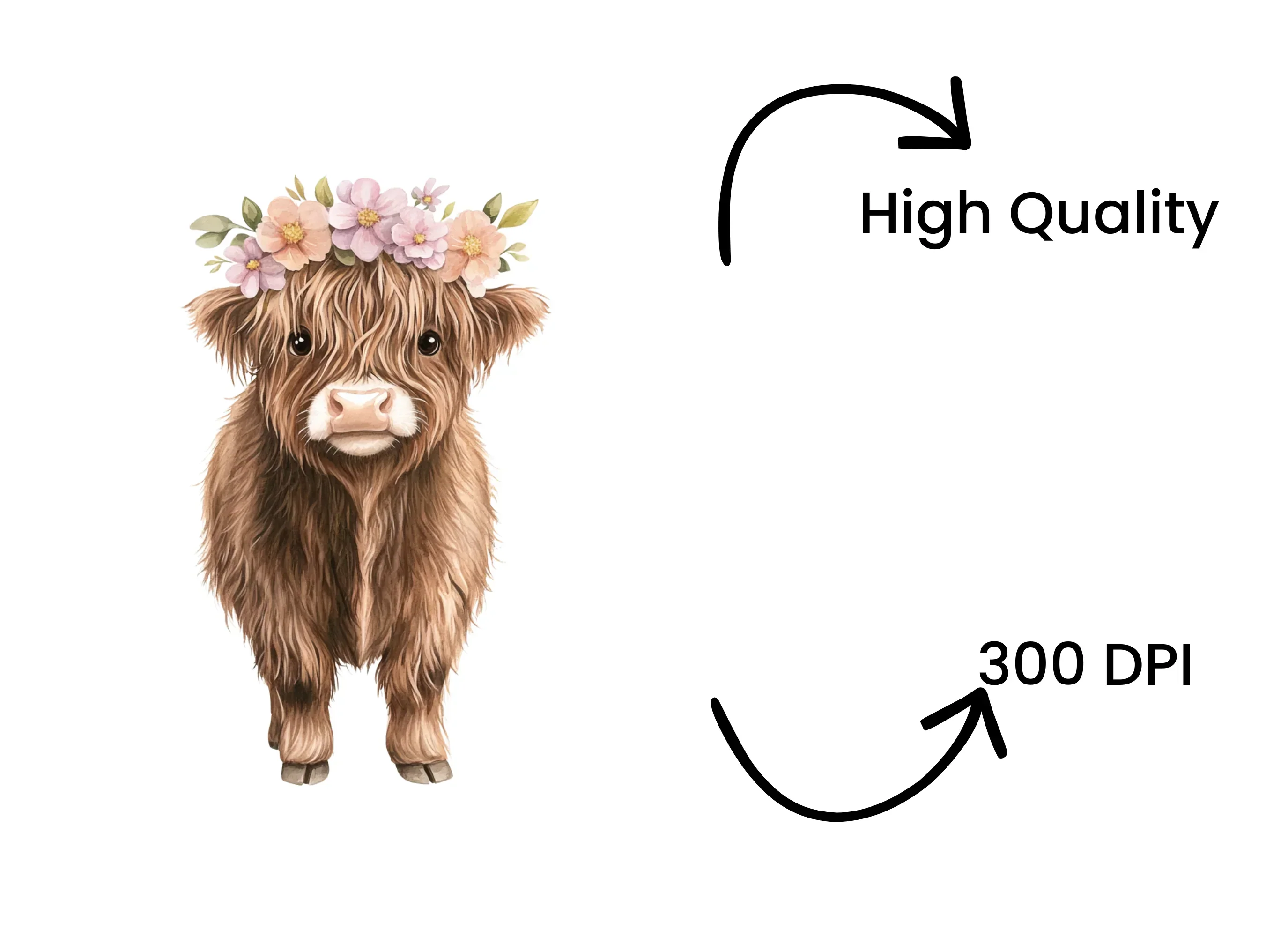 Cute Baby Highland Cow with Flower Crown Clipart Bundle - Image 4