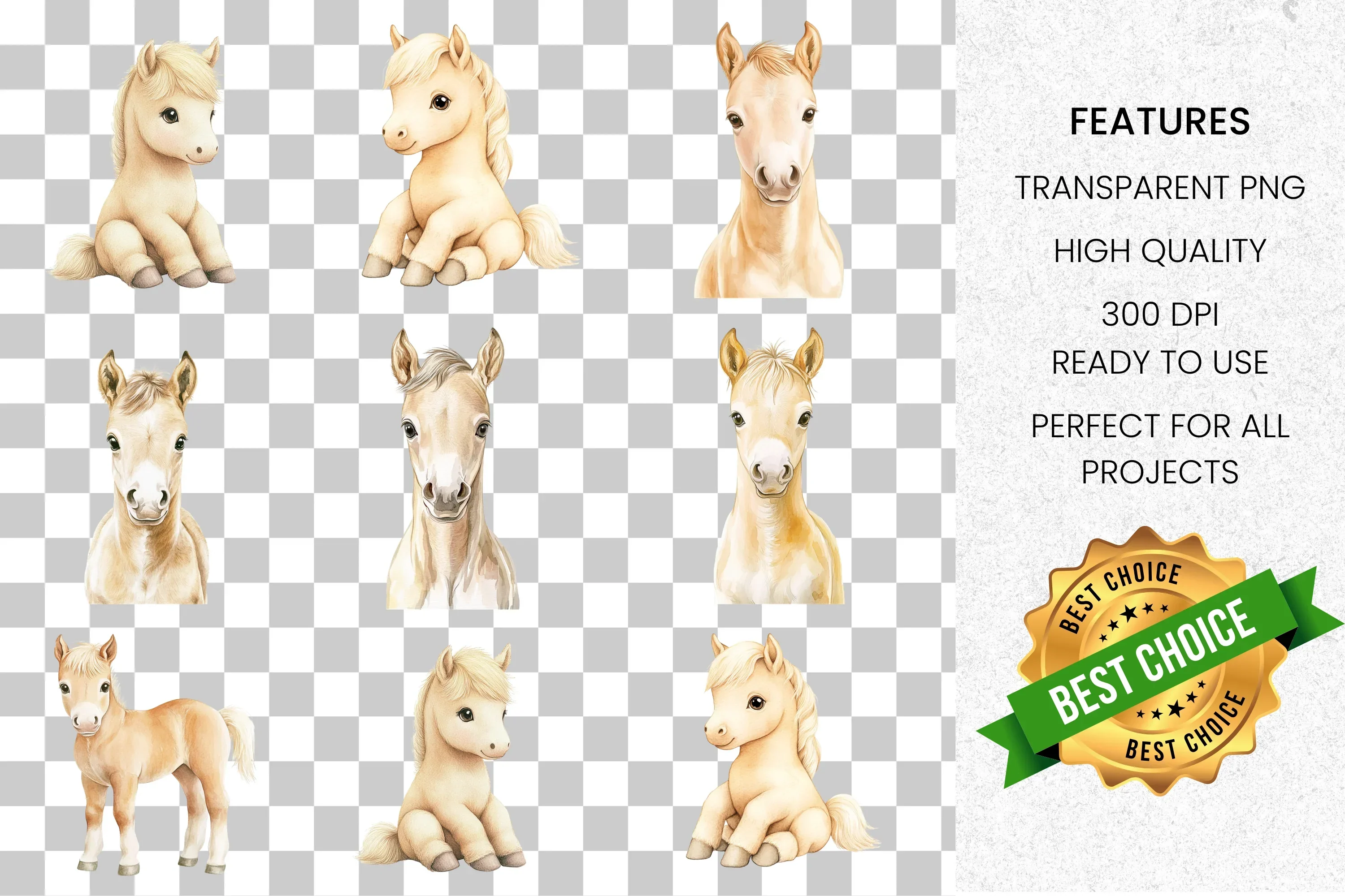 Cute Baby Horse Foal Clipart Bundle - Image 8