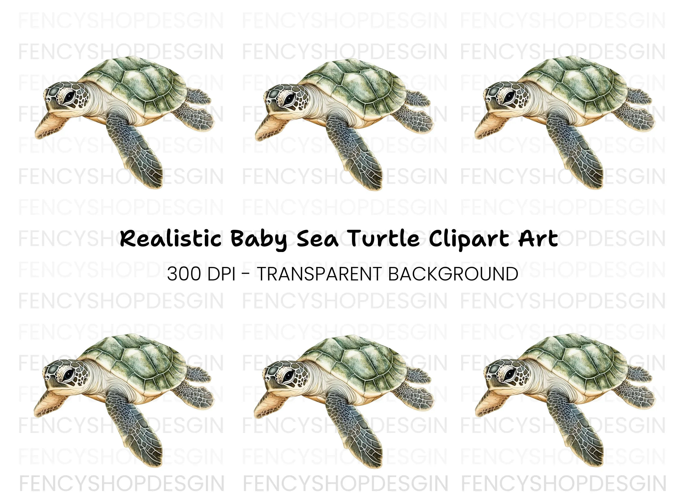 Cute Baby Sea Turtle Clipart Bundle