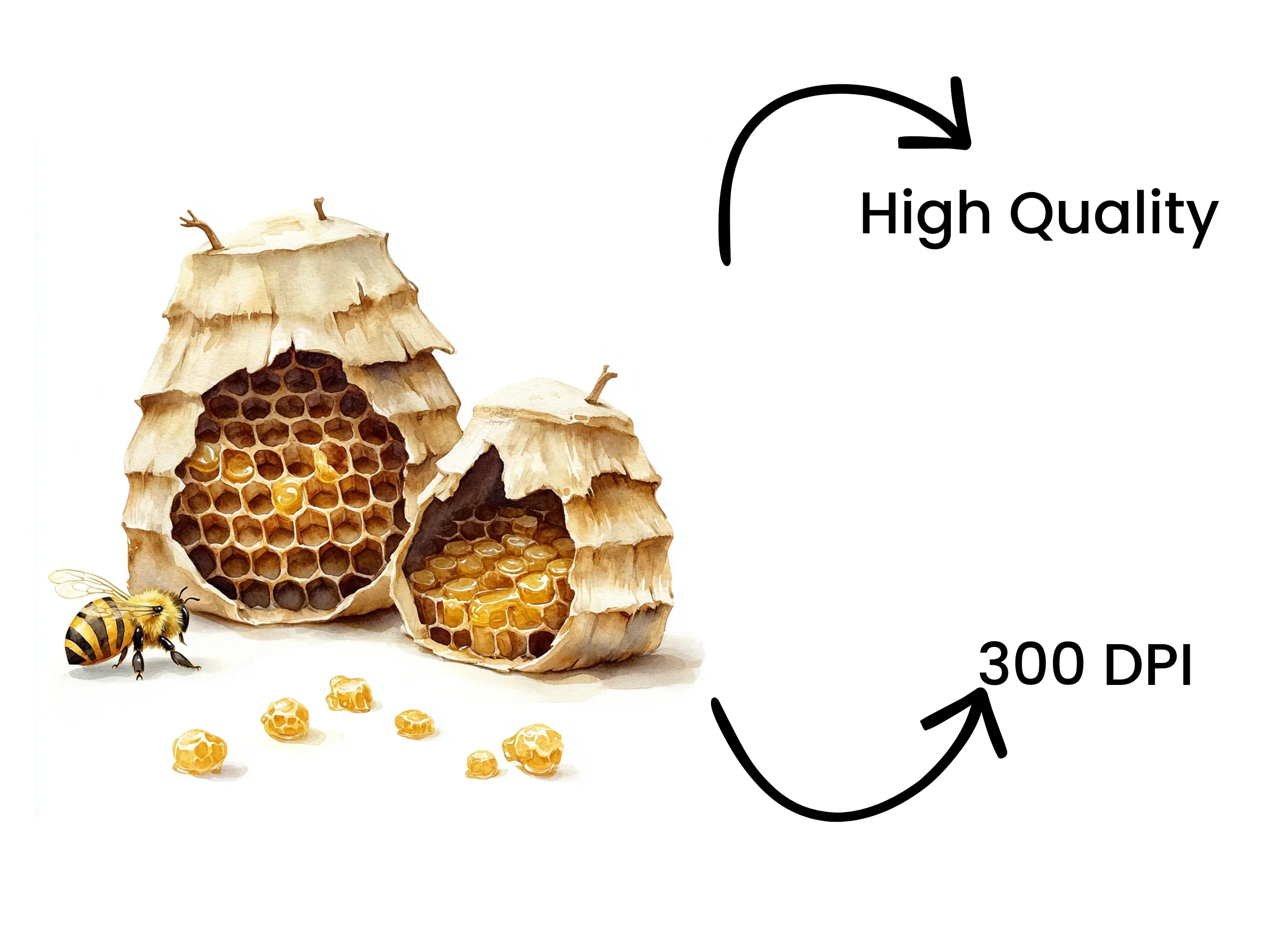 Cute Bee and Beehive Clipart Bundle - Image 4