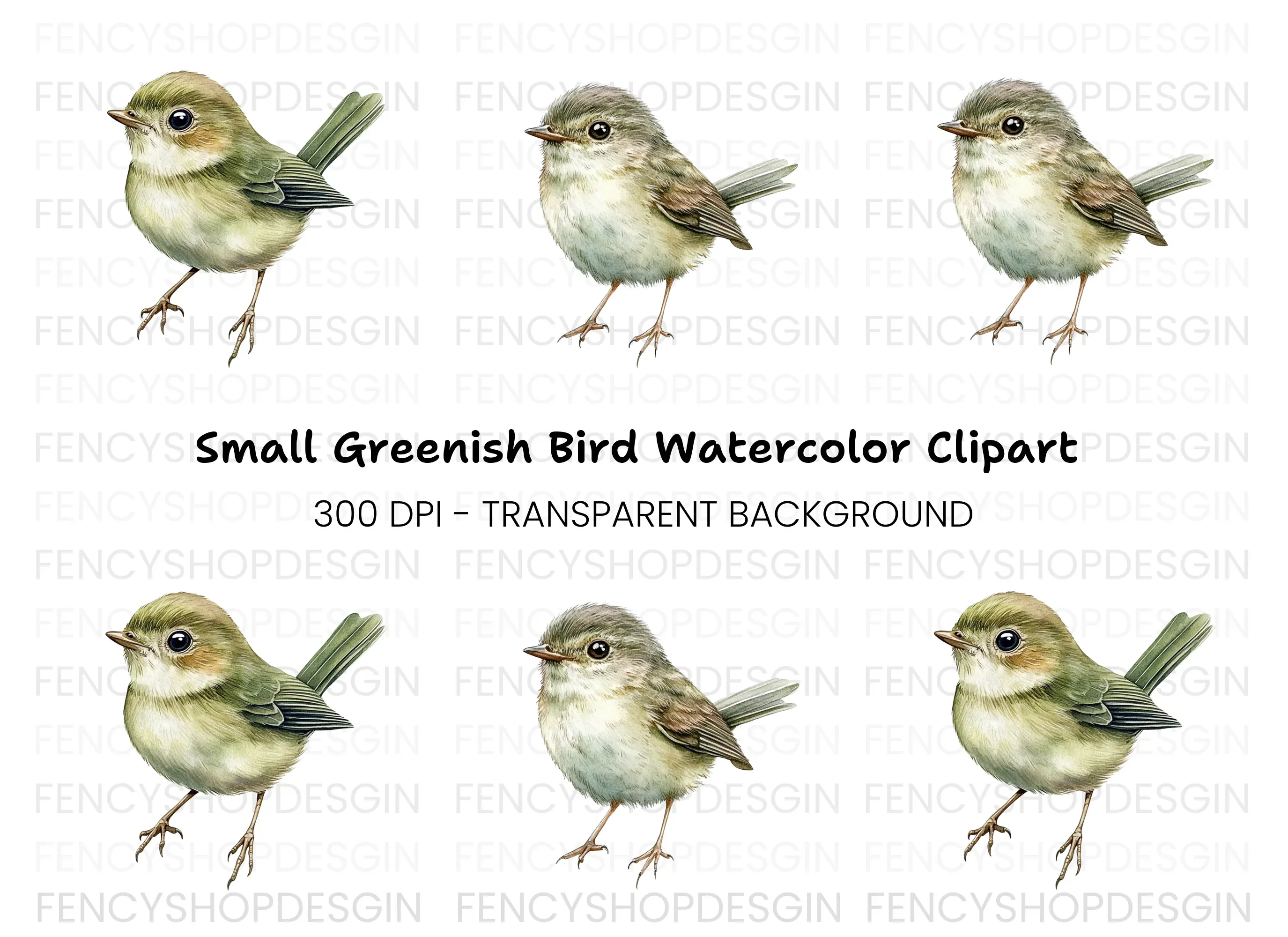Cute Bird Clipart Bundle