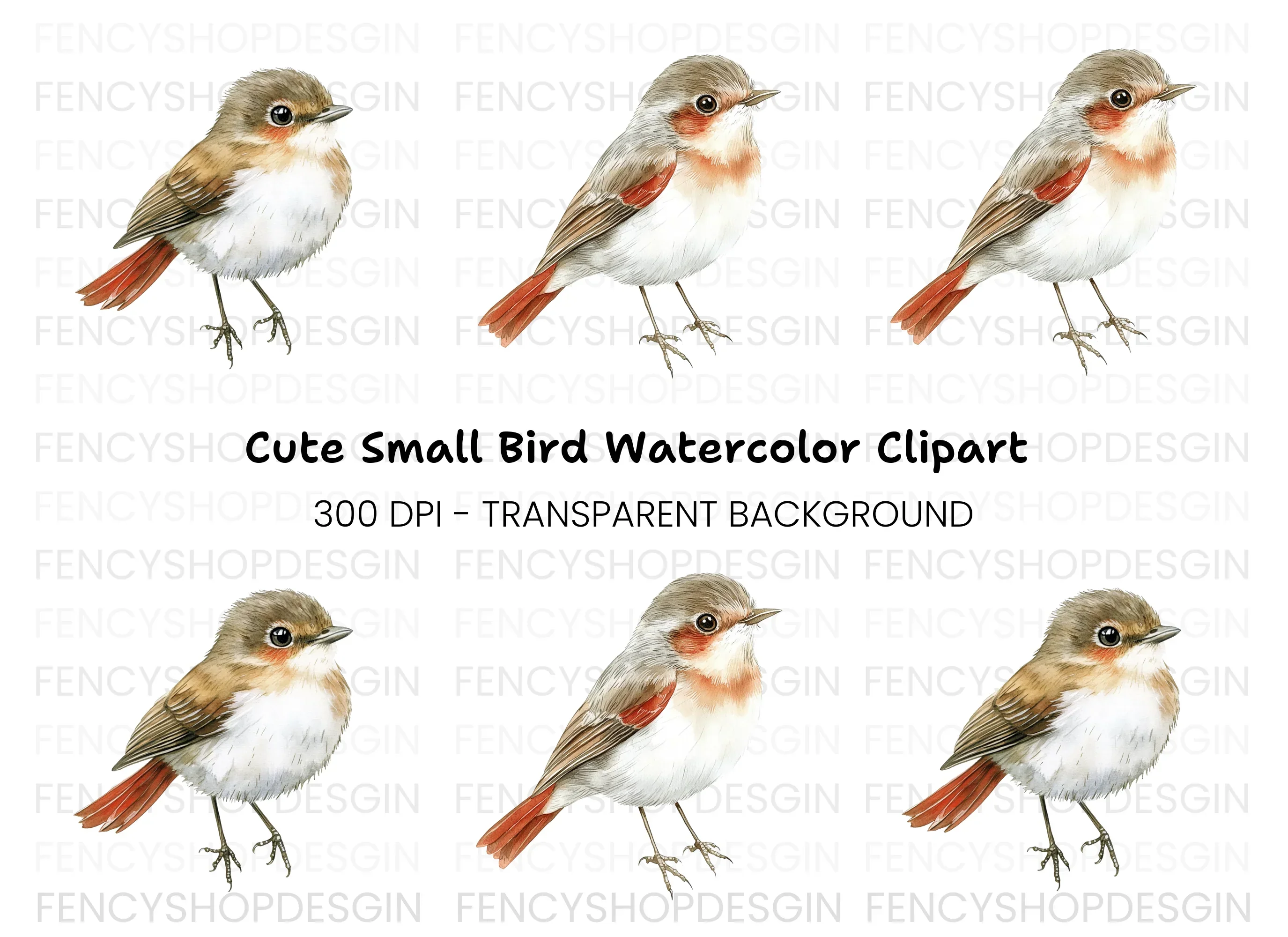 Cute Bird Clipart Bundle
