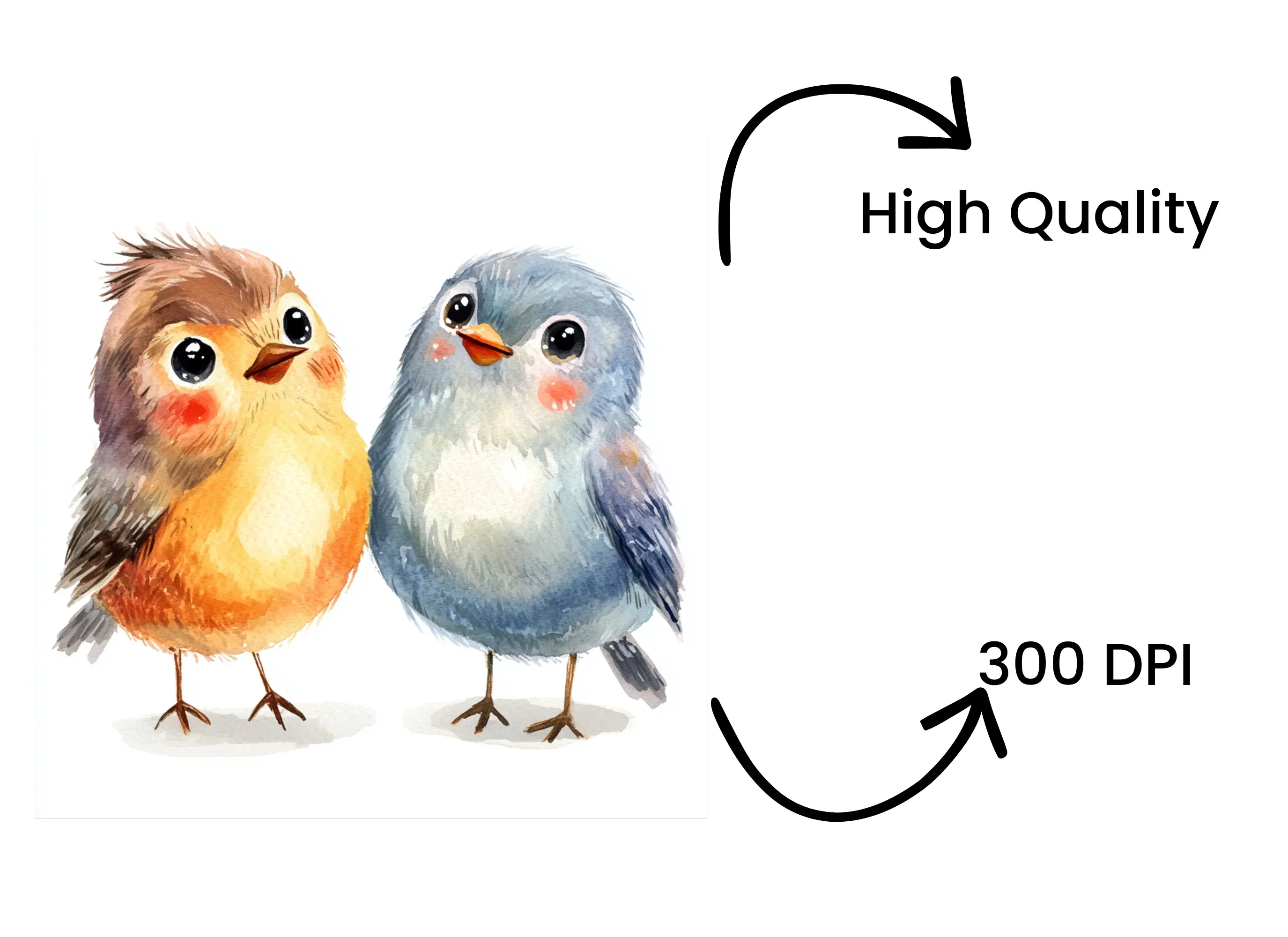 Cute Birds Clipart Bundle - Image 4