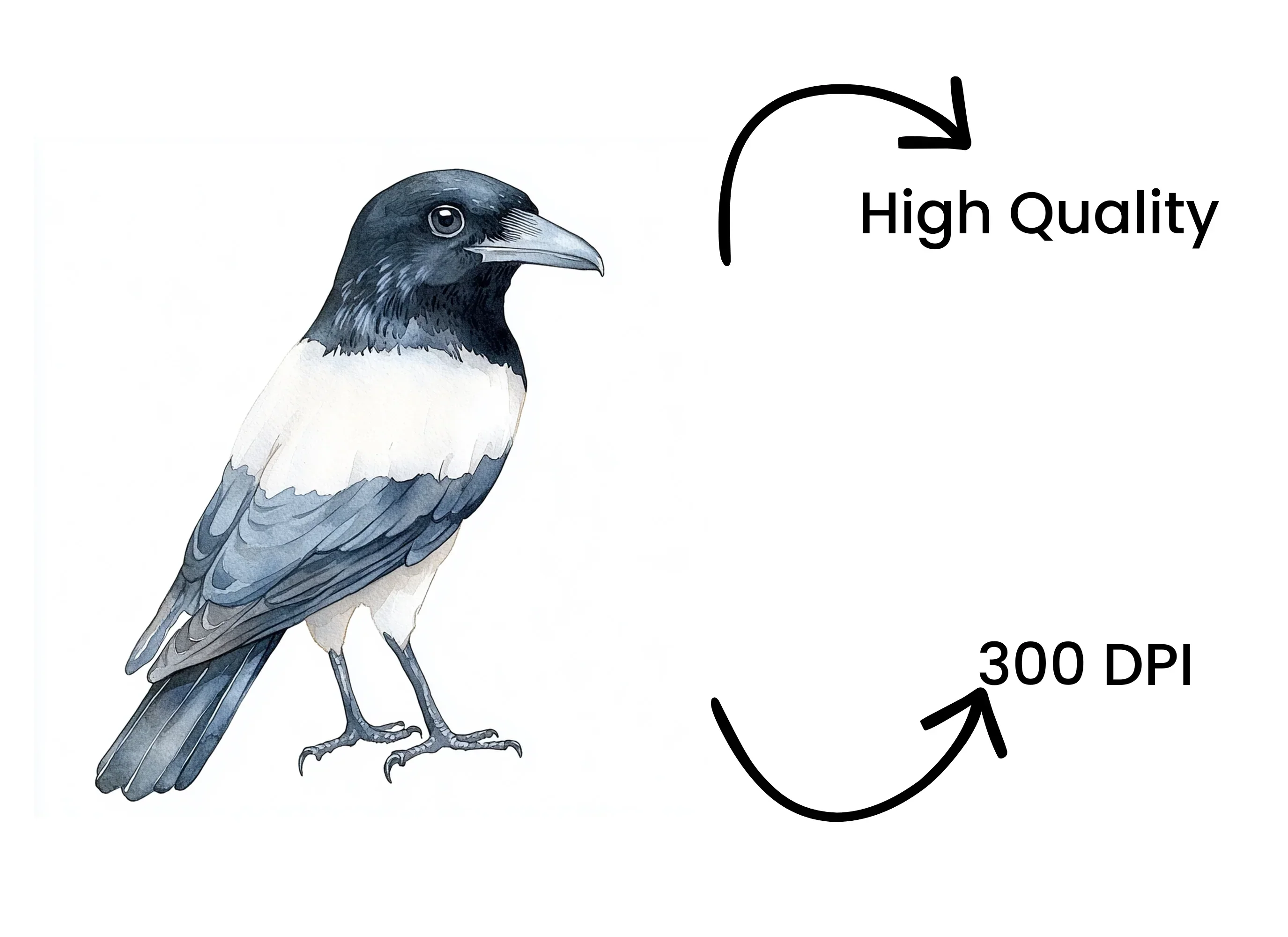 Cute Black and White Birds Clipart Bundle - Image 4