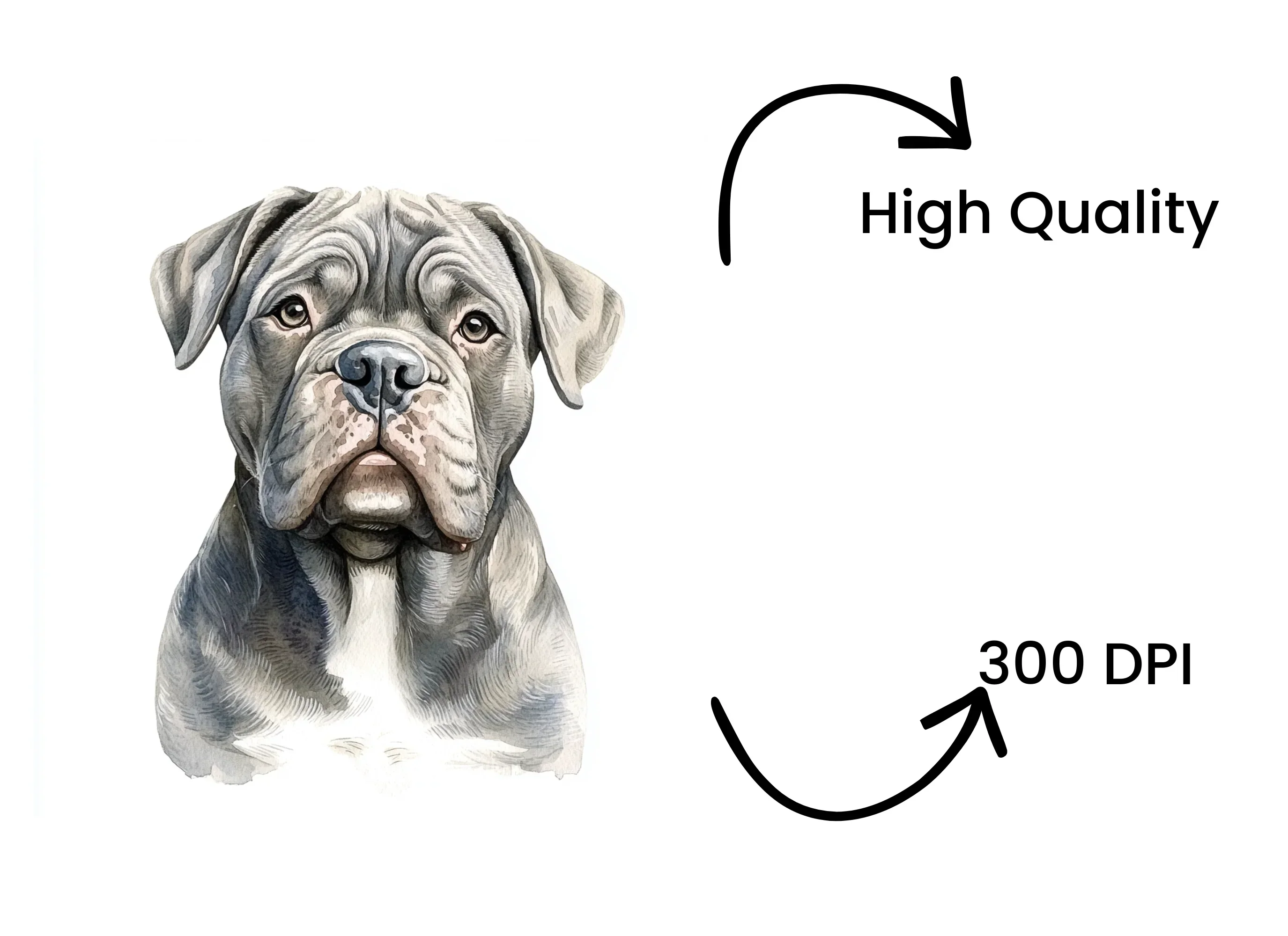 Cute Bullmastiff Puppy Clipart Bundle - Image 4