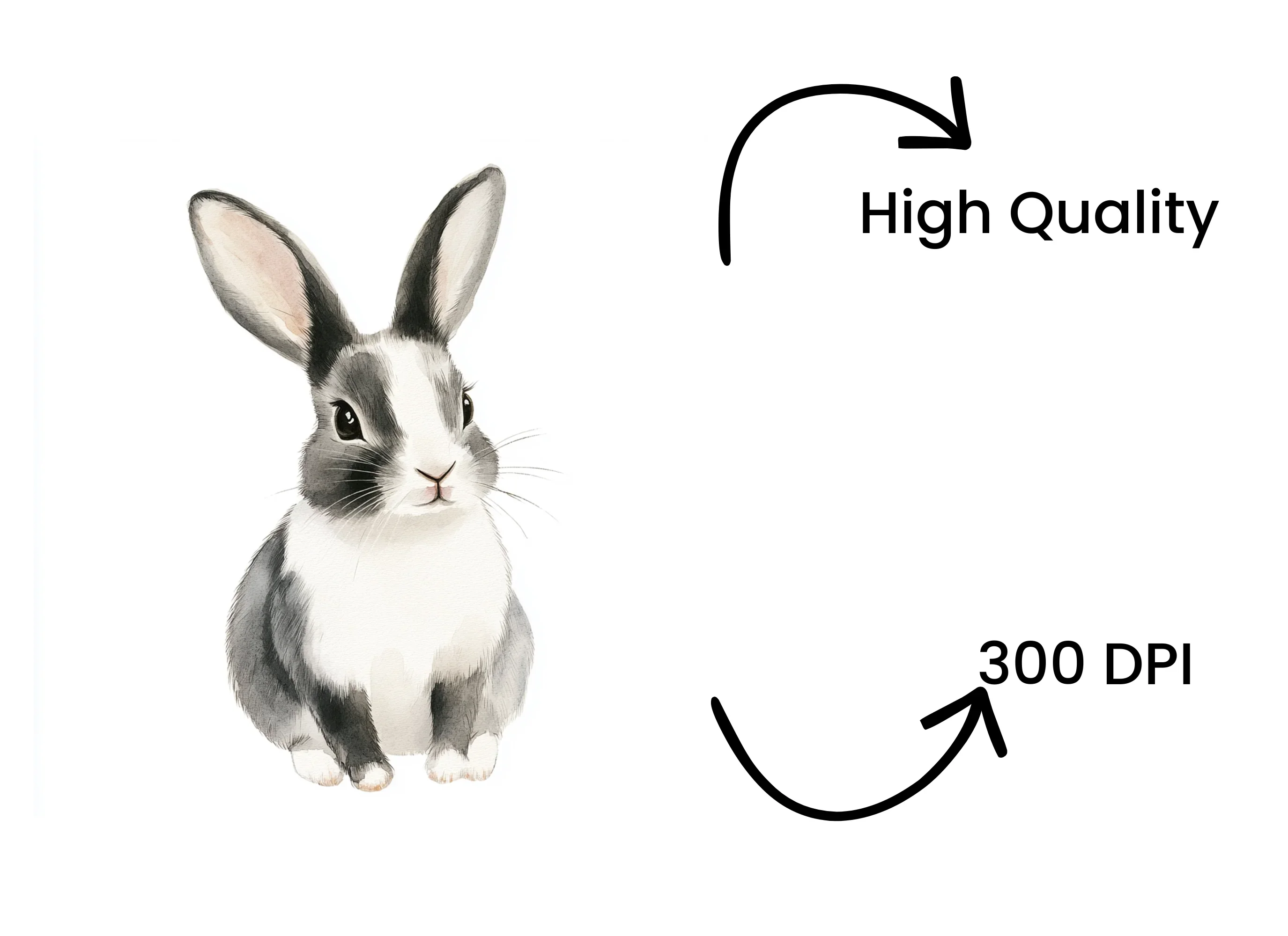 Cute Bunny Clipart Bundle - Image 4