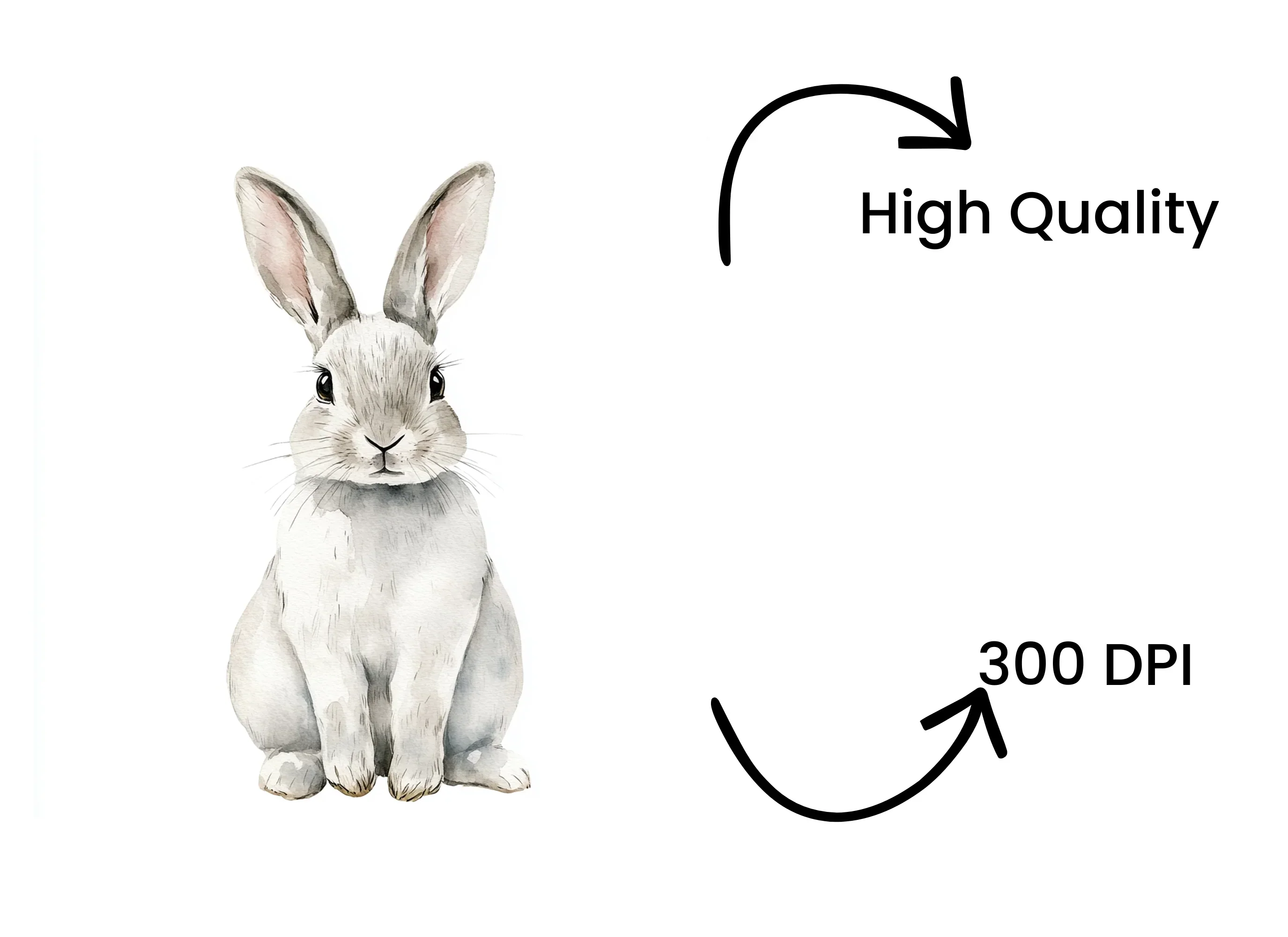 Cute Bunny Rabbit Clipart Bundle - Image 4