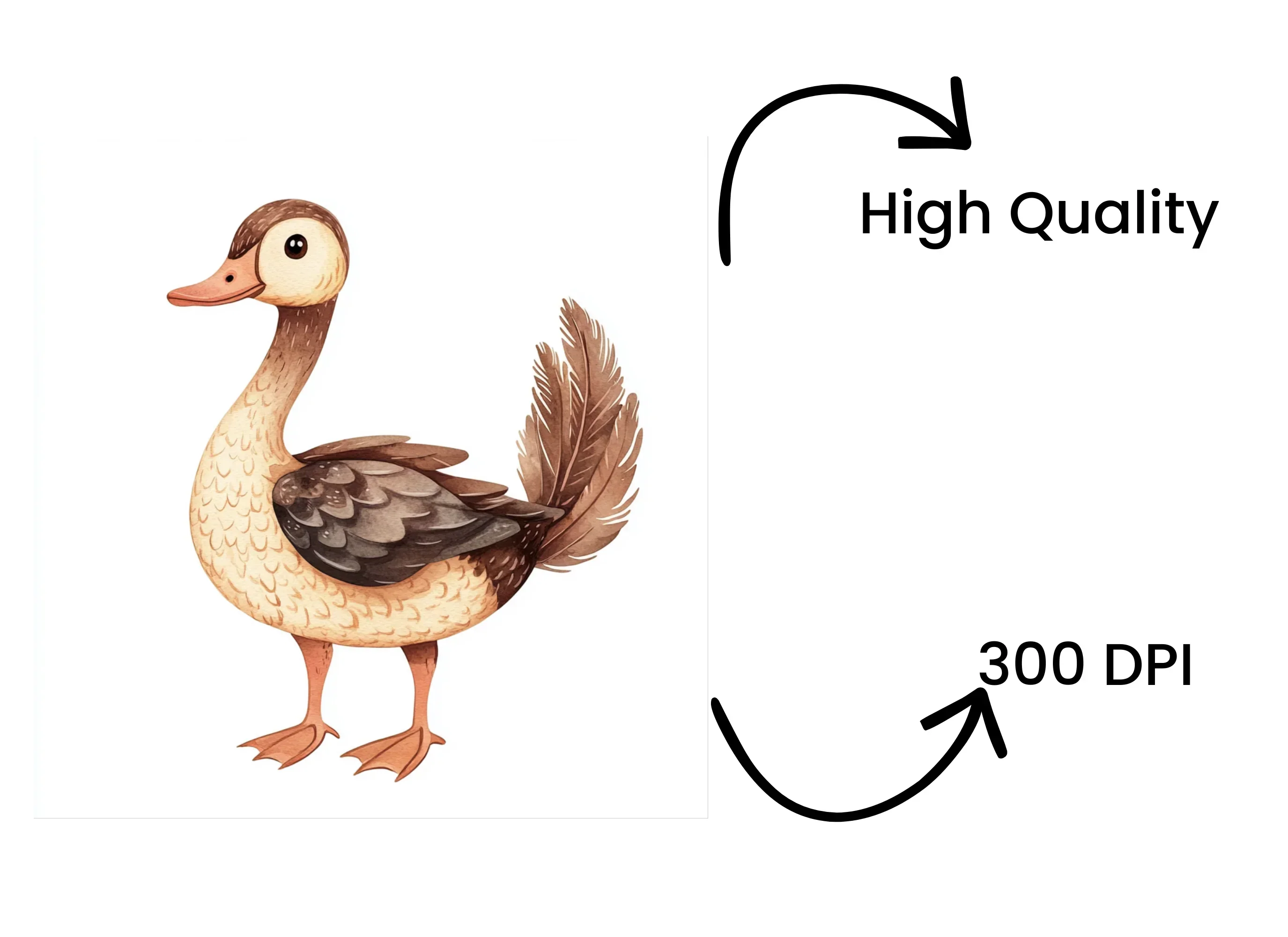 Cute Cartoon Duck Clipart Bundle - Image 4