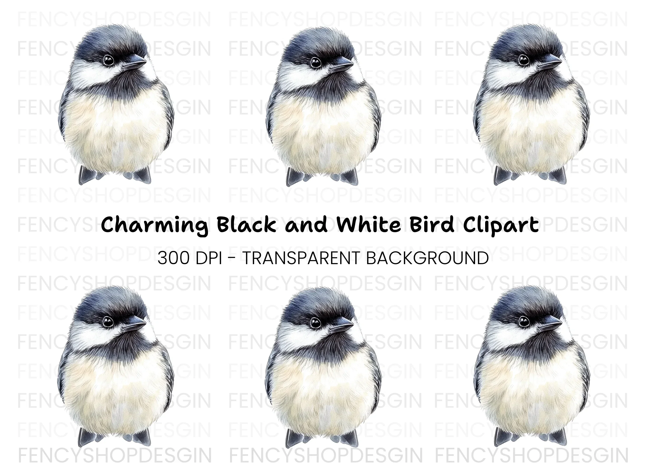 Cute Chickadee Bird Clipart Bundle